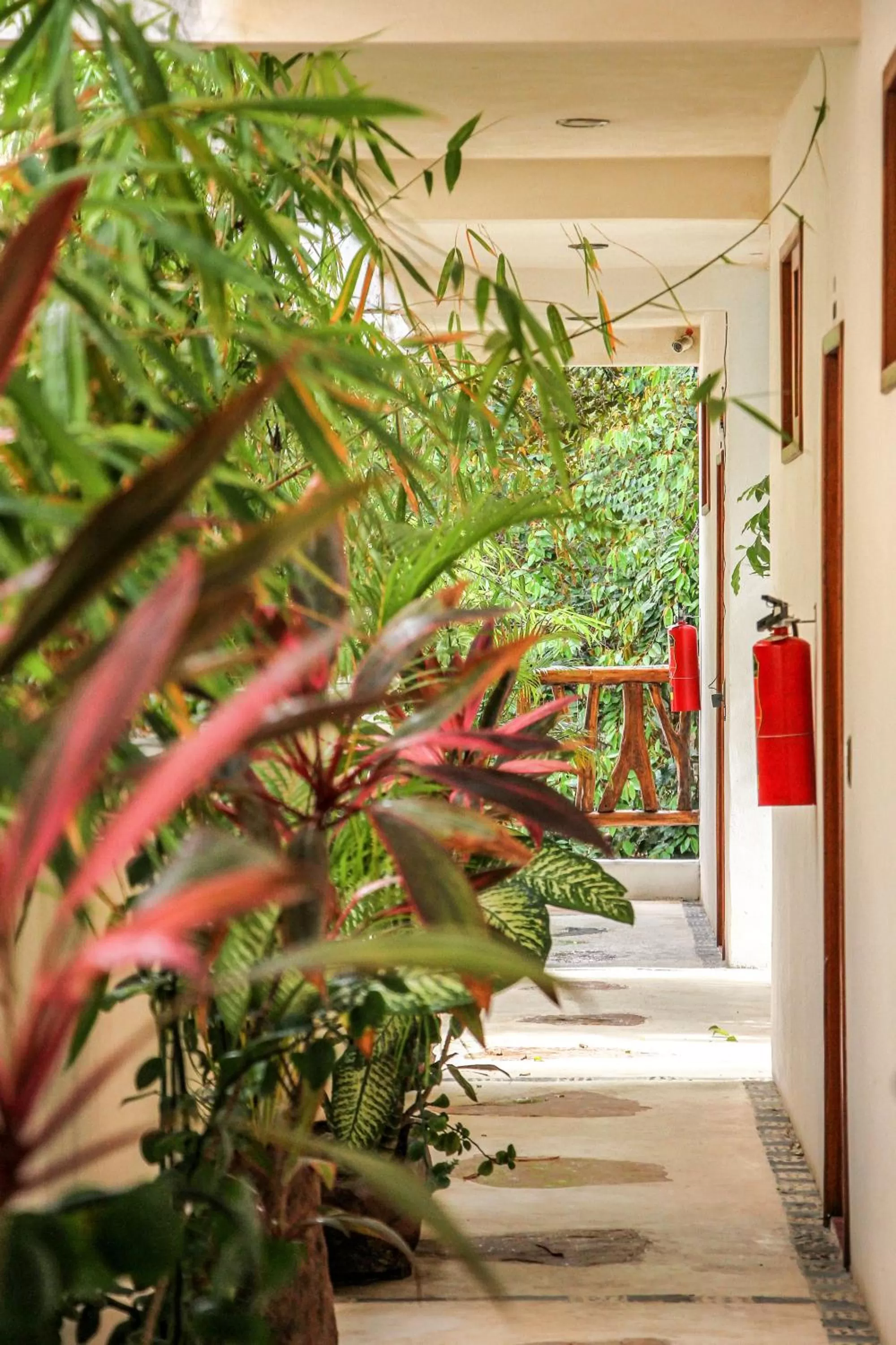 Off site in Corazon De Jade Tulum