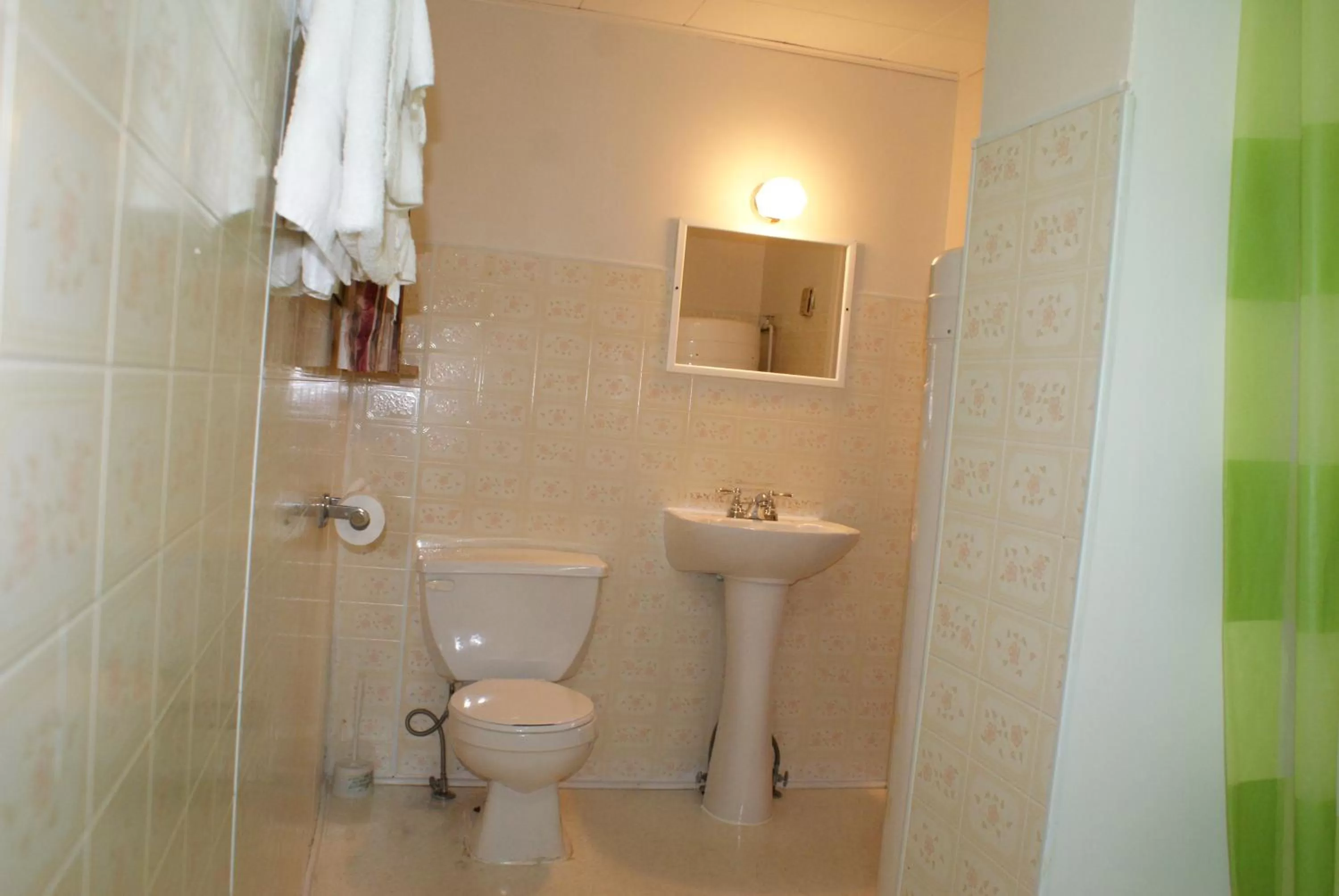 Shower in Regent Motel