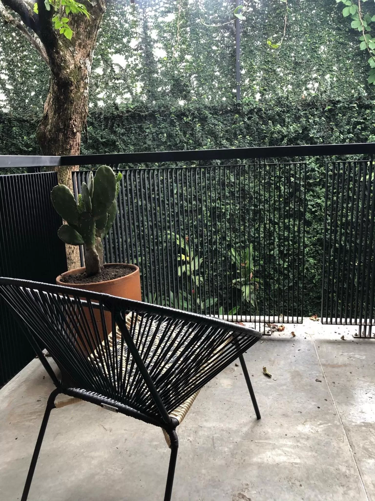 Balcony/Terrace in Alko Hotel Casa Nispero