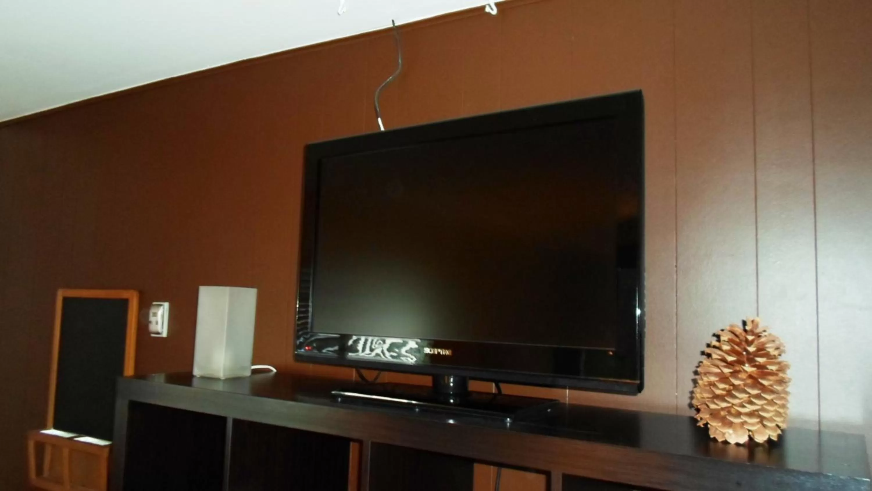 TV and multimedia in Paradice Motel