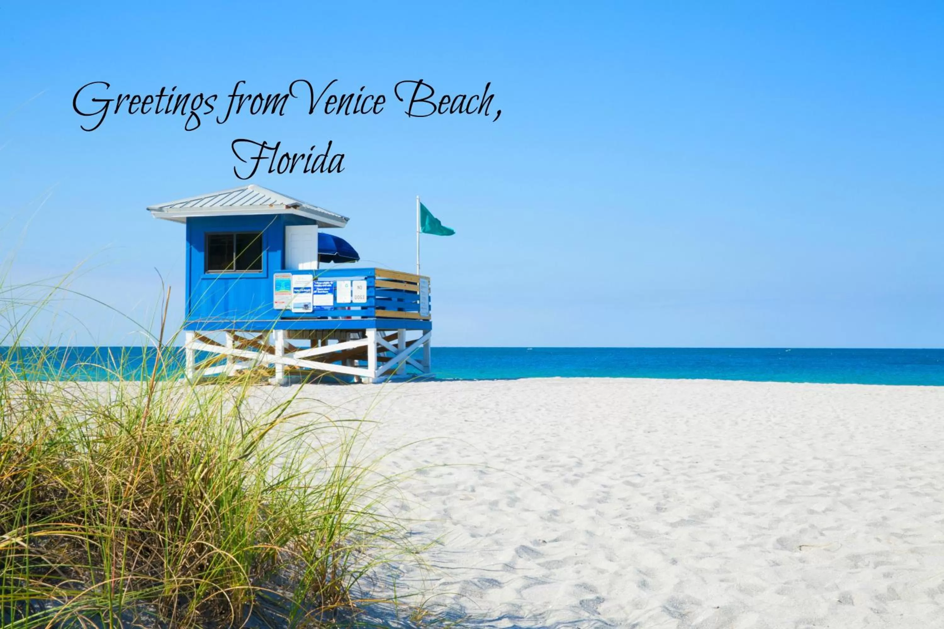 Beach in Inn at the Beach-Venice FLORIDA