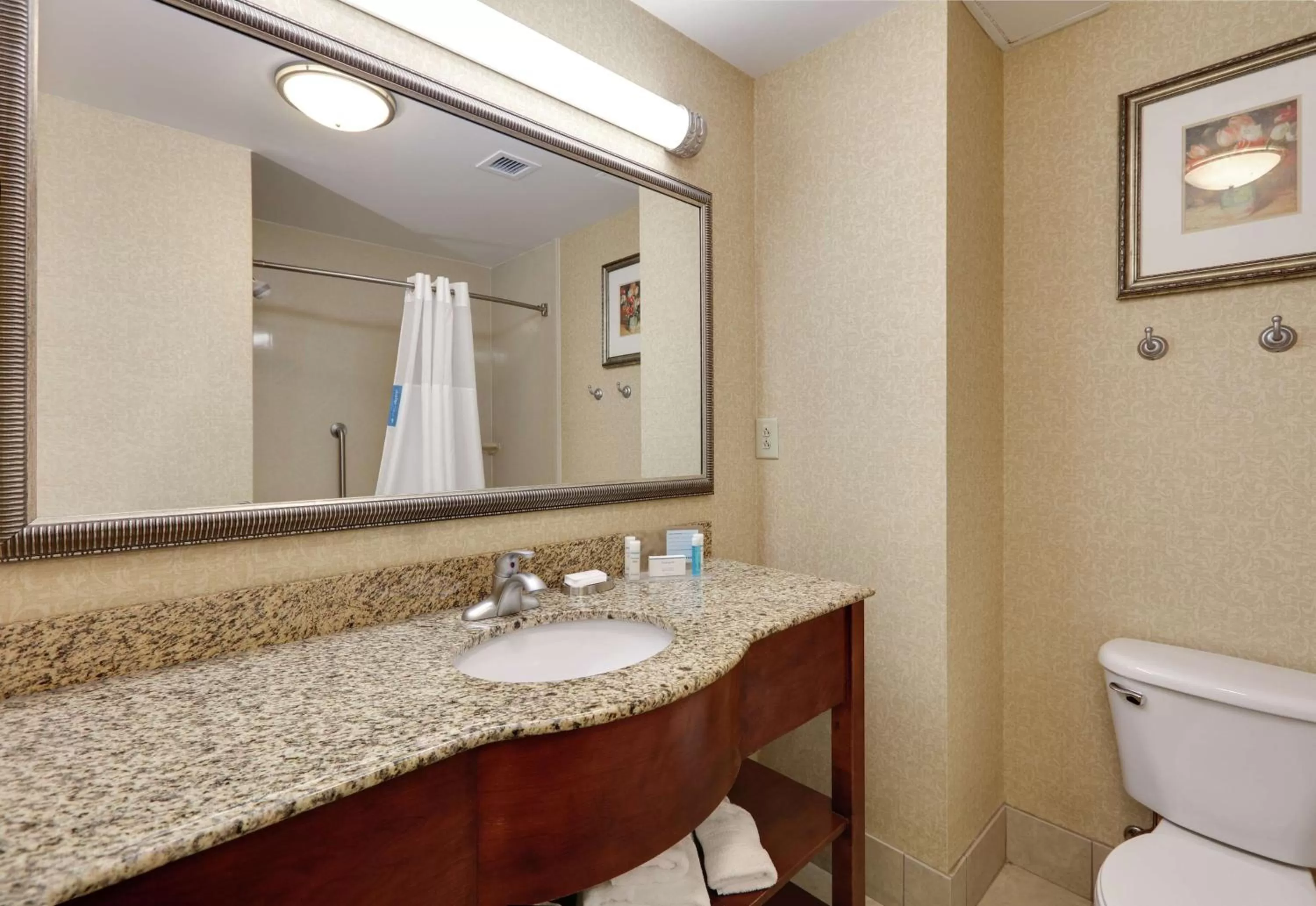 Bathroom in Hampton Inn & Suites Southern Pines-Pinehurst