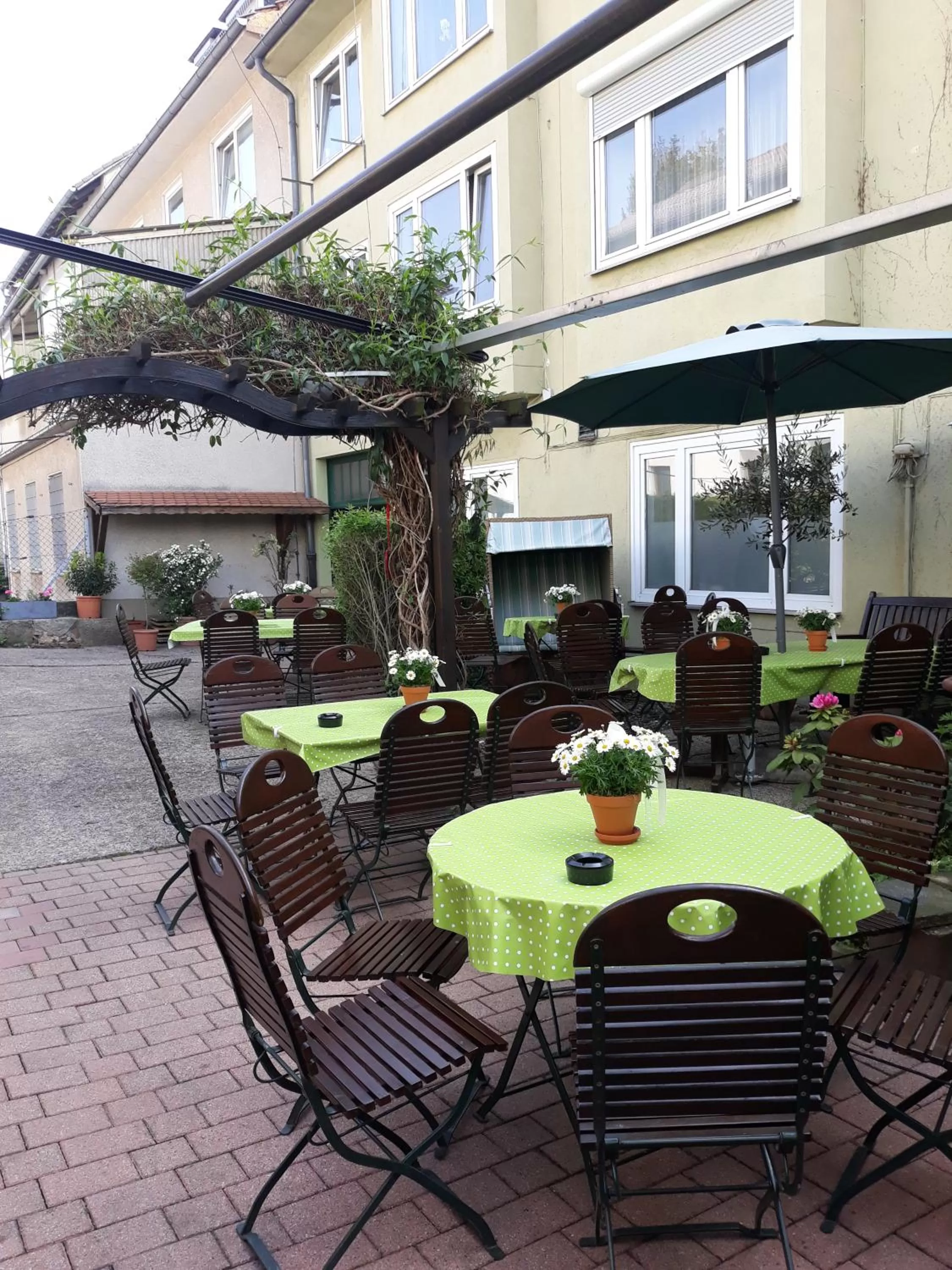 Summer in Zwehrener Hof