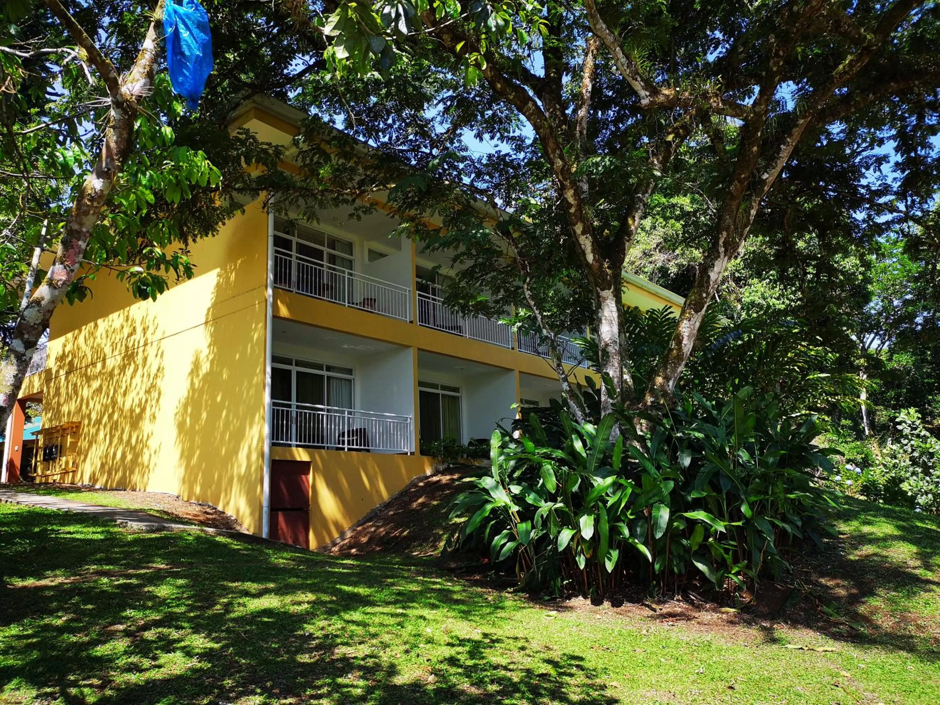 Garden in Hotel Villa Florencia