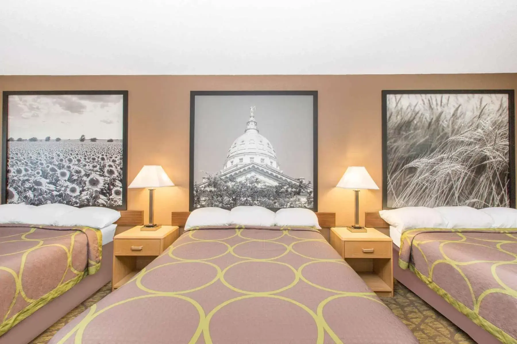 Studio Suite with Three Queen Beds - Non-Smoking in Super 8 by Wyndham Belleville Studio Suite with Three Queen Beds - Non-Smoking in Super 8 by Wyndham Belleville