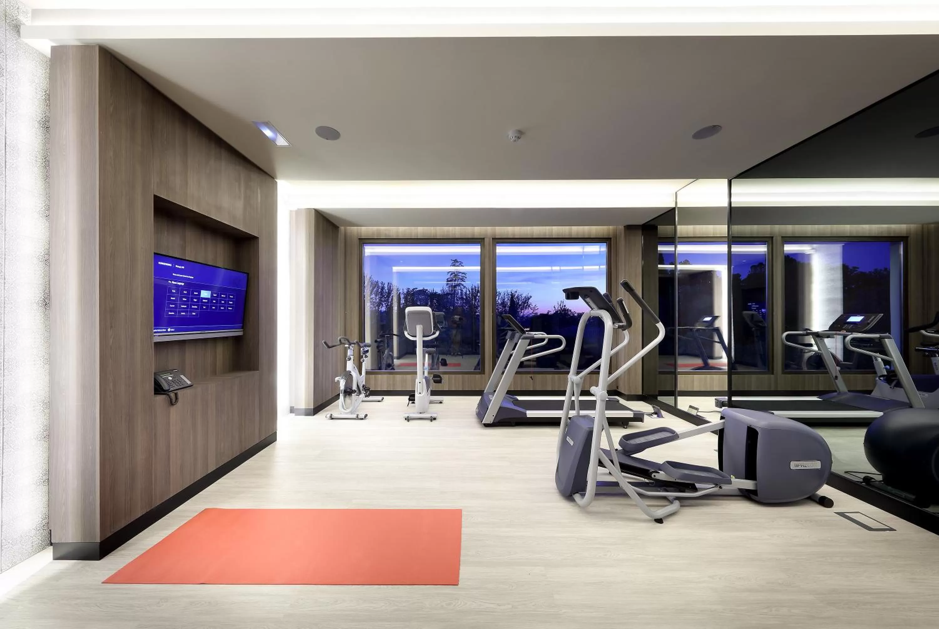 Fitness centre/facilities in Áurea Washington Irving by Eurostars Hotel Company