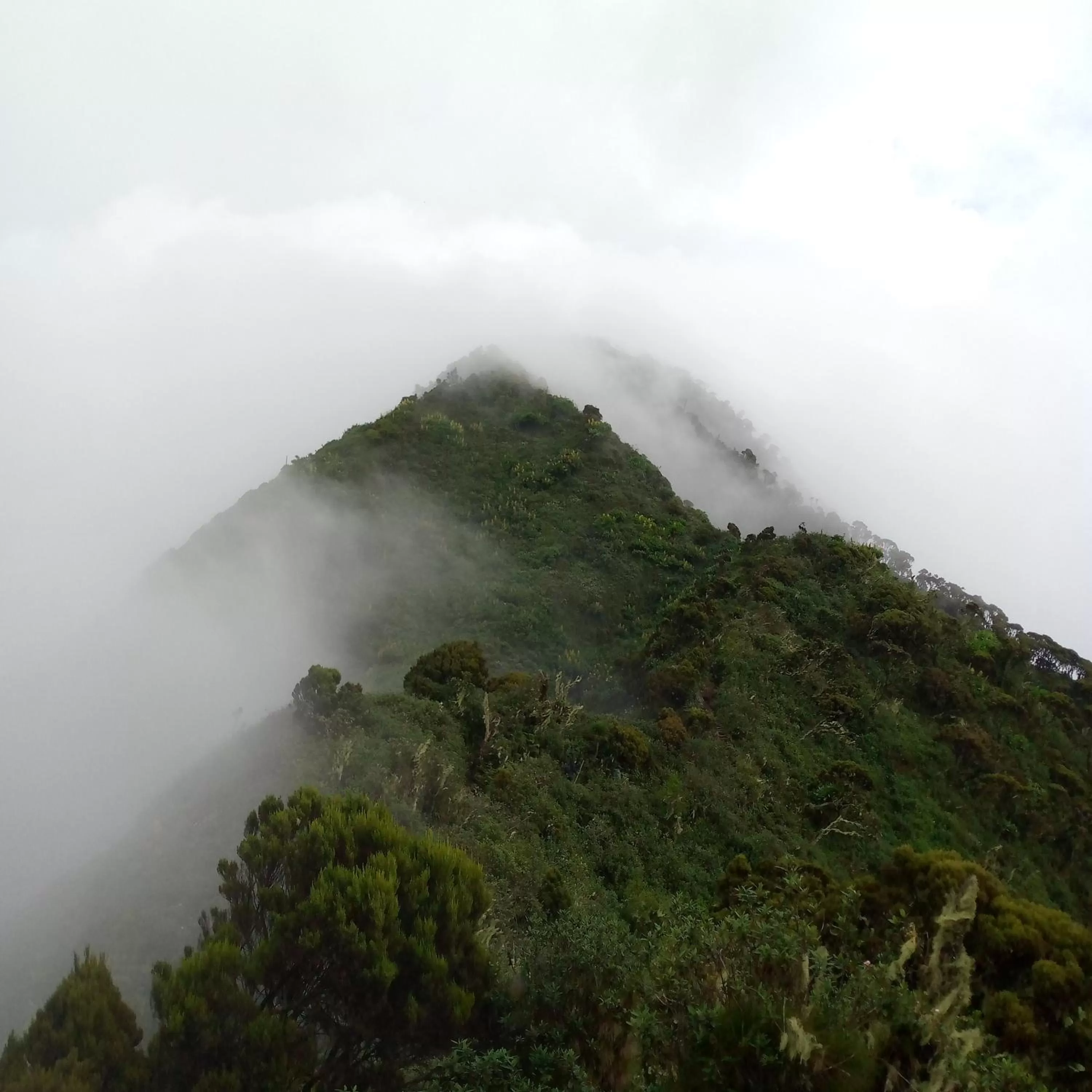 Mountain view in Santaviva Hotel