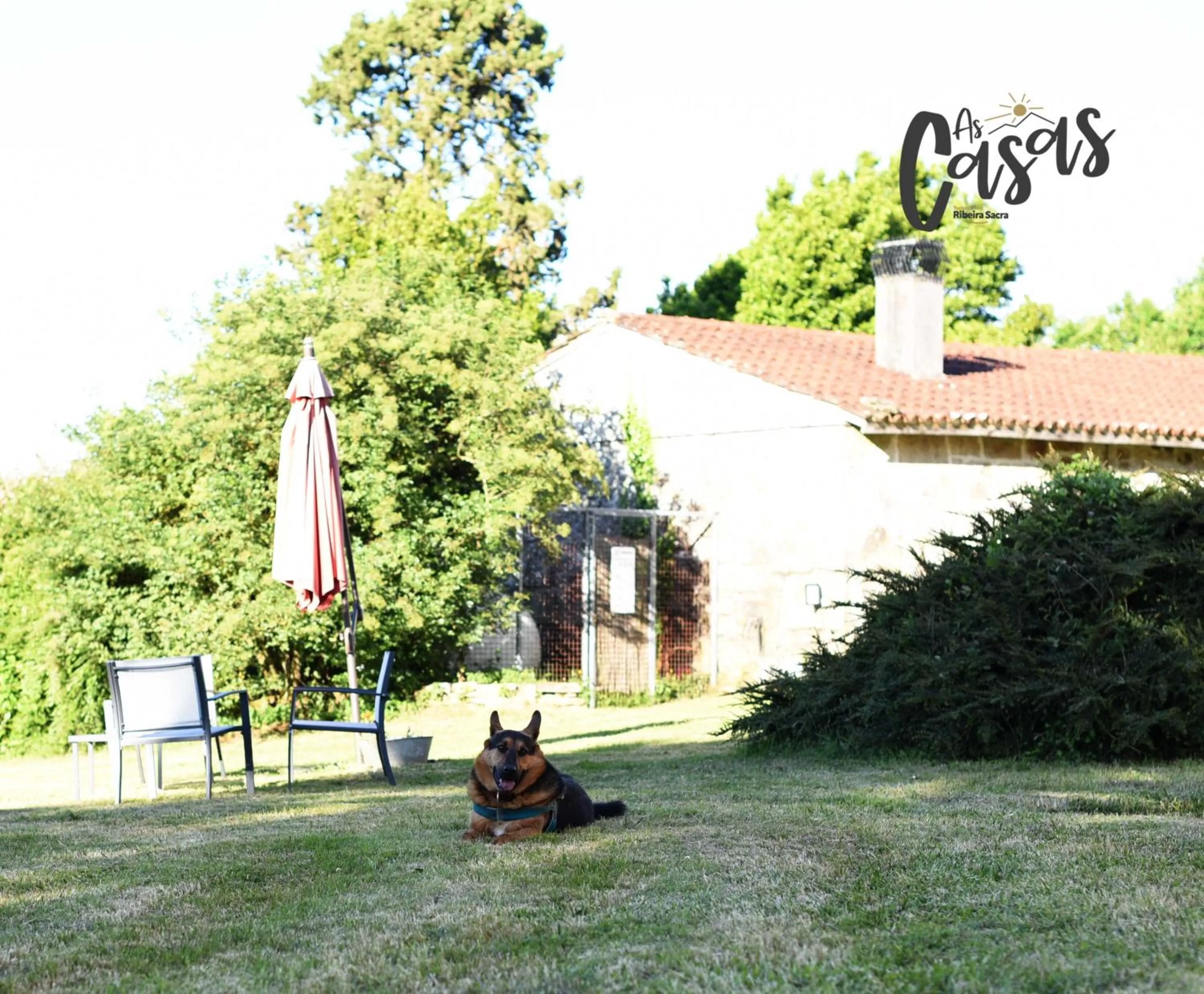 Garden, Property Building in As Casas Ribeira Sacra