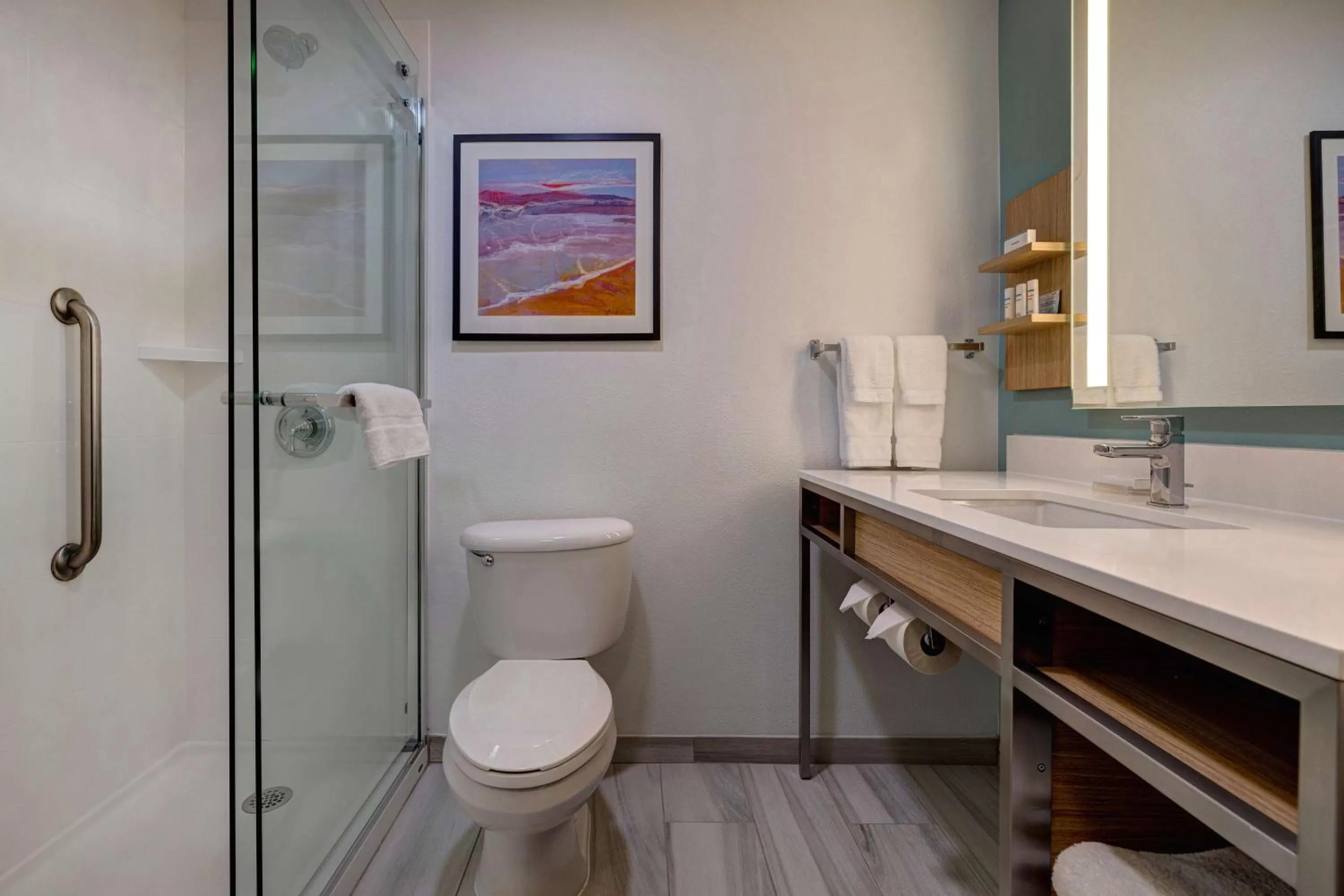 Bathroom in Hilton Garden Inn Tampa Northwest/Oldsmar