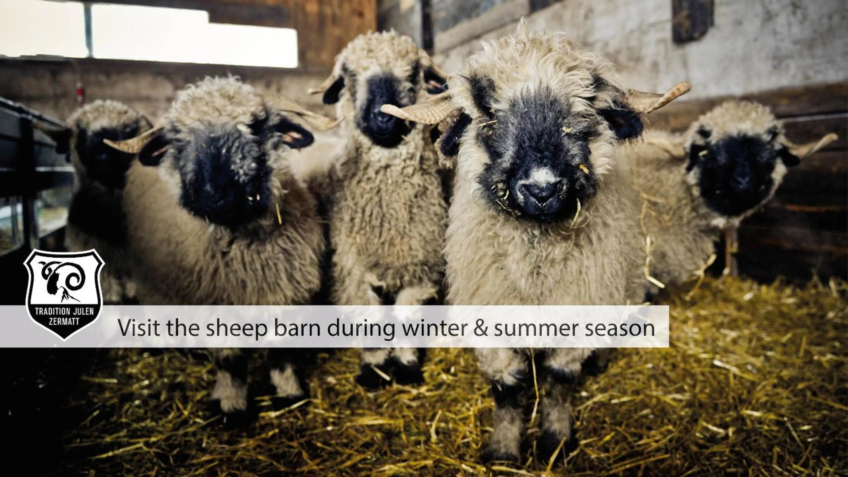 Animals in Tradition Julen Hotel