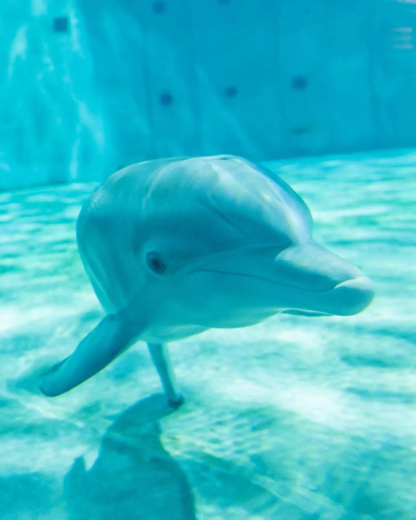 Activities in Candlewood Suites - Safety Harbor by IHG