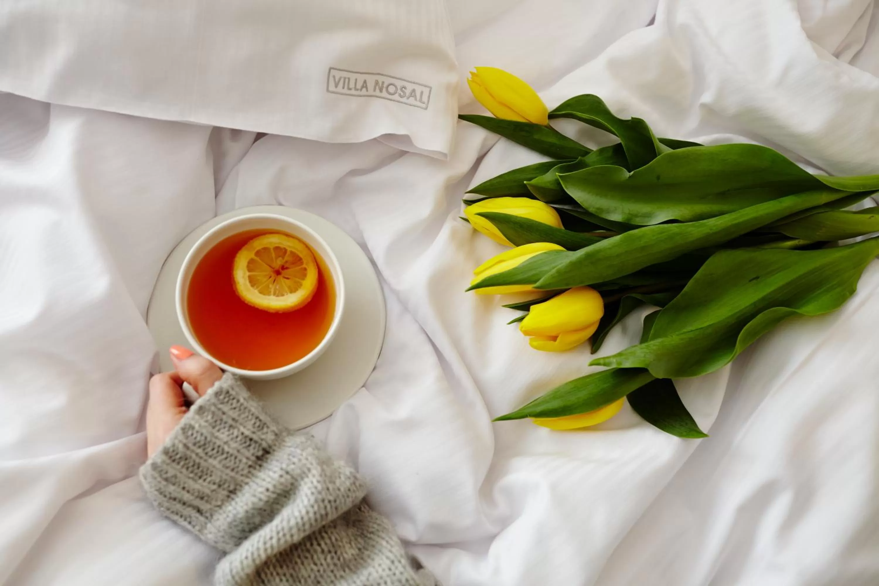 Property logo or sign, Bed in VILLA NOSAL - Zakopane