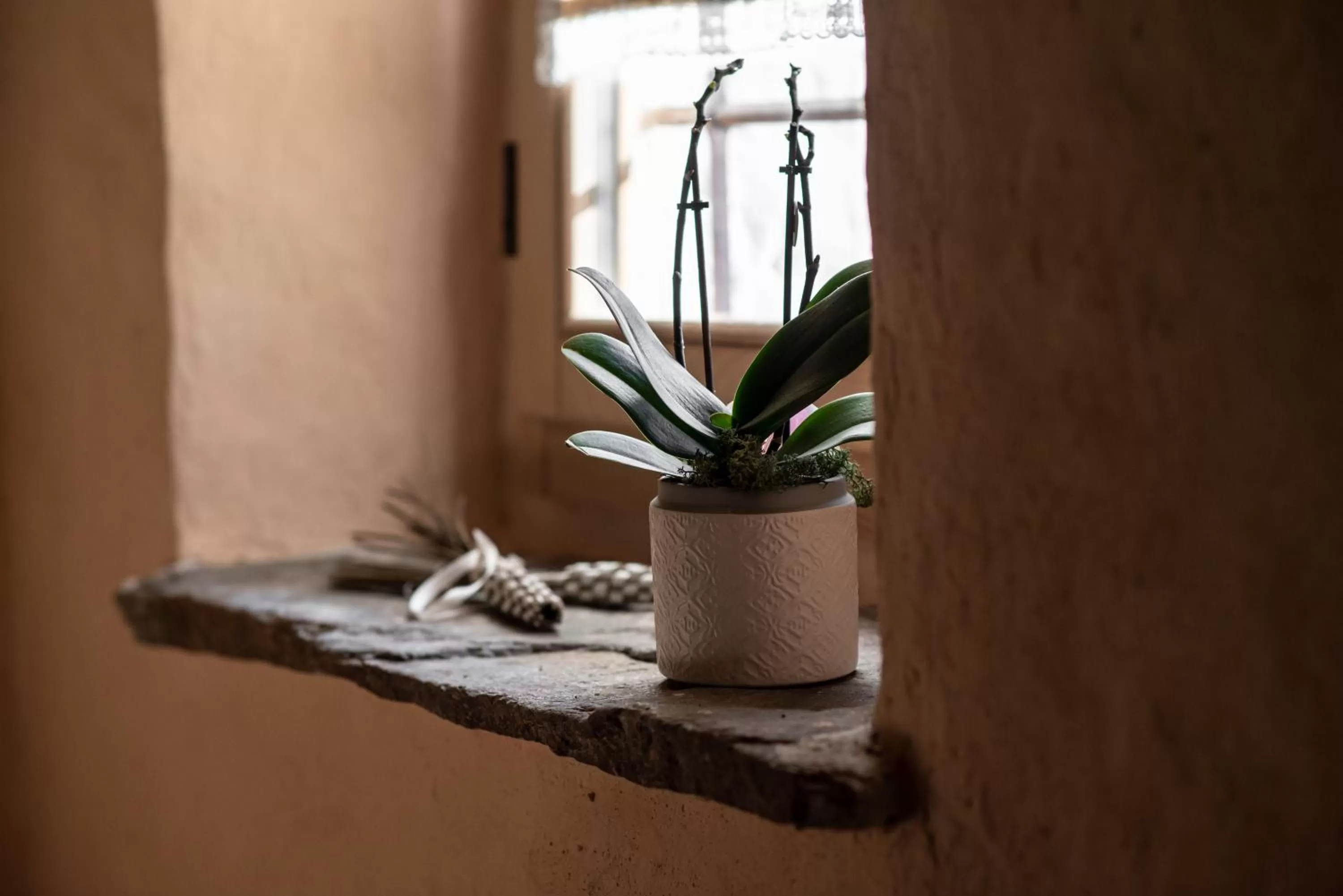 Bedroom in Agribenessere Agli Abatti