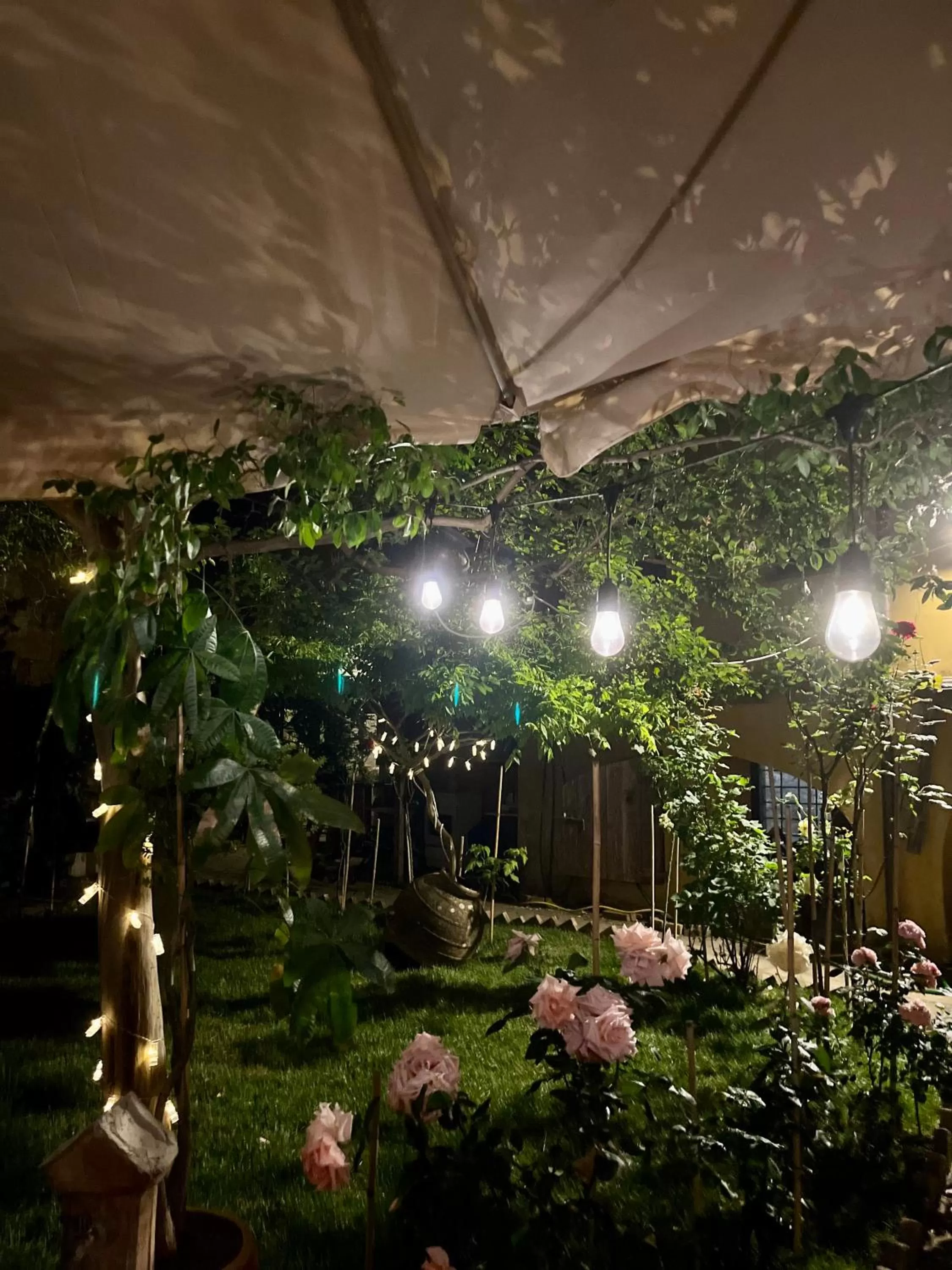 Patio in B&B 'Degli Artisti'