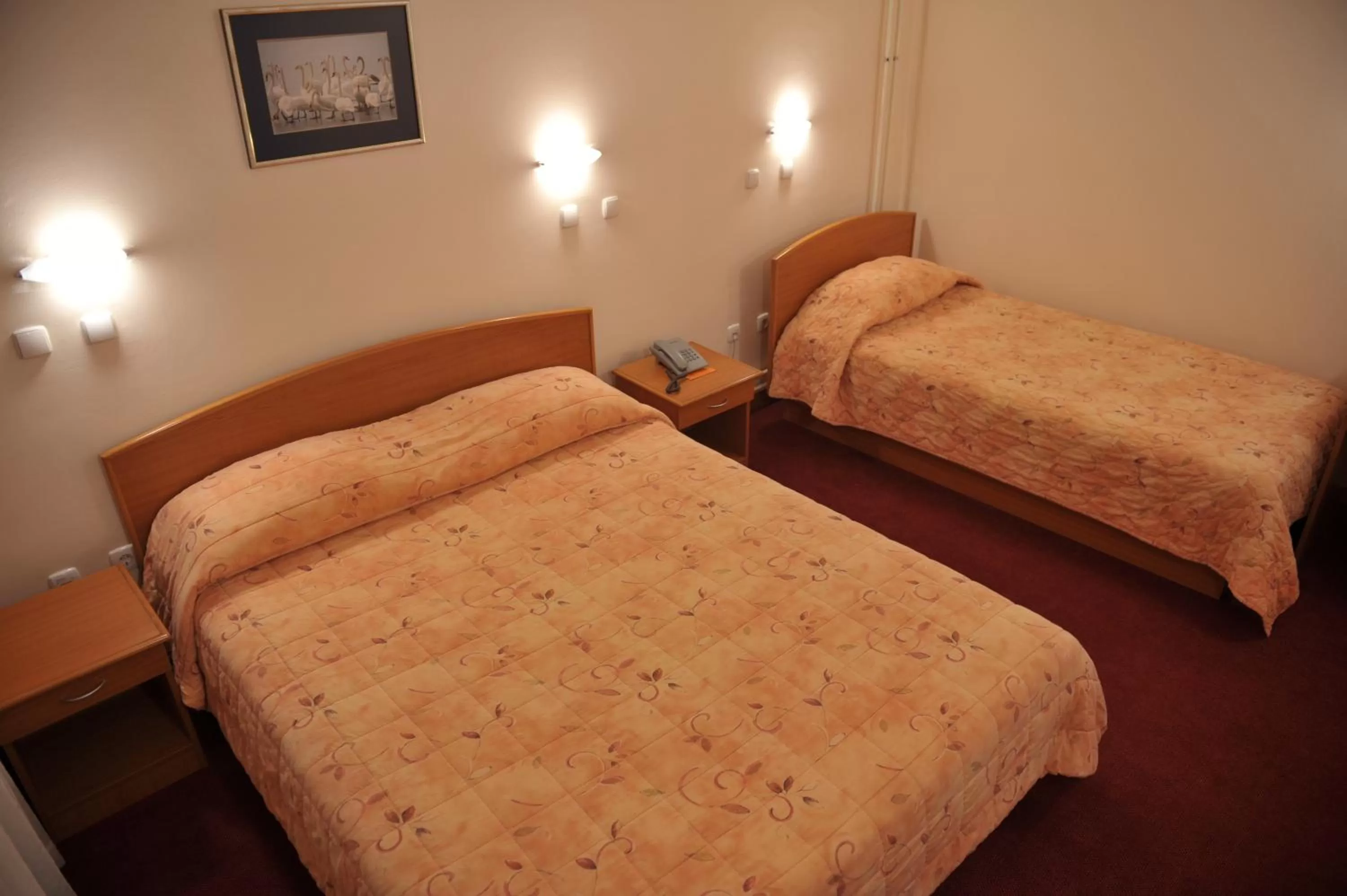 Triple Room in Hotel Fontana