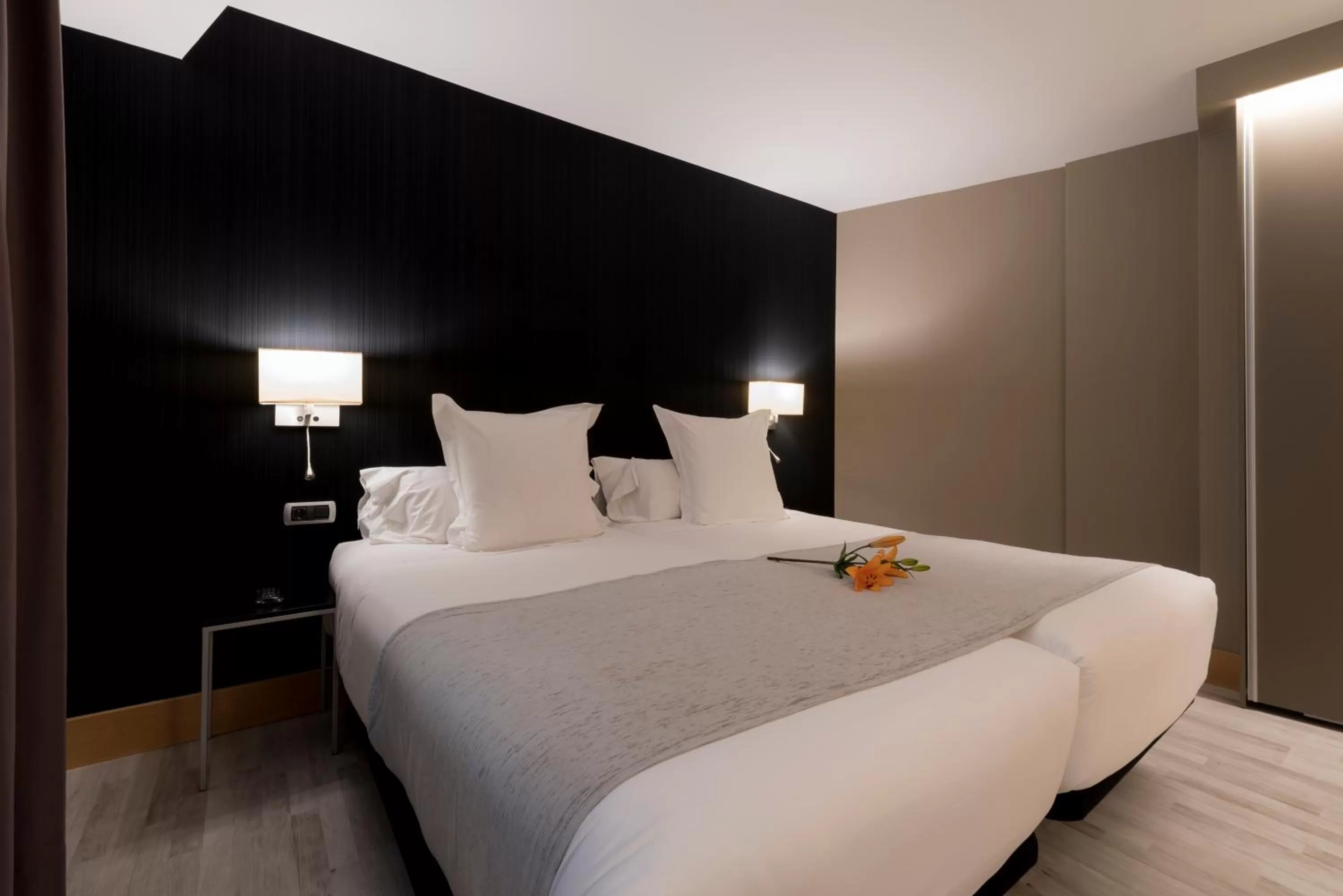 Facility for disabled guests, Bed in Hotel Plaza