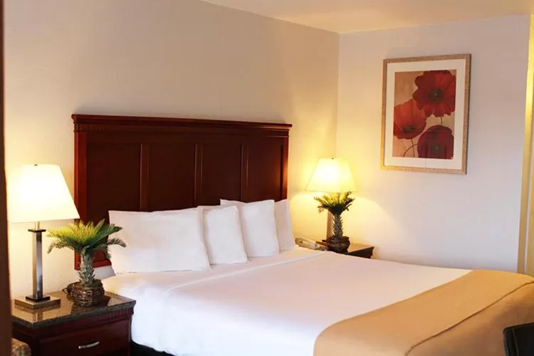 Photo of the whole room, Bed in Hotel E Real