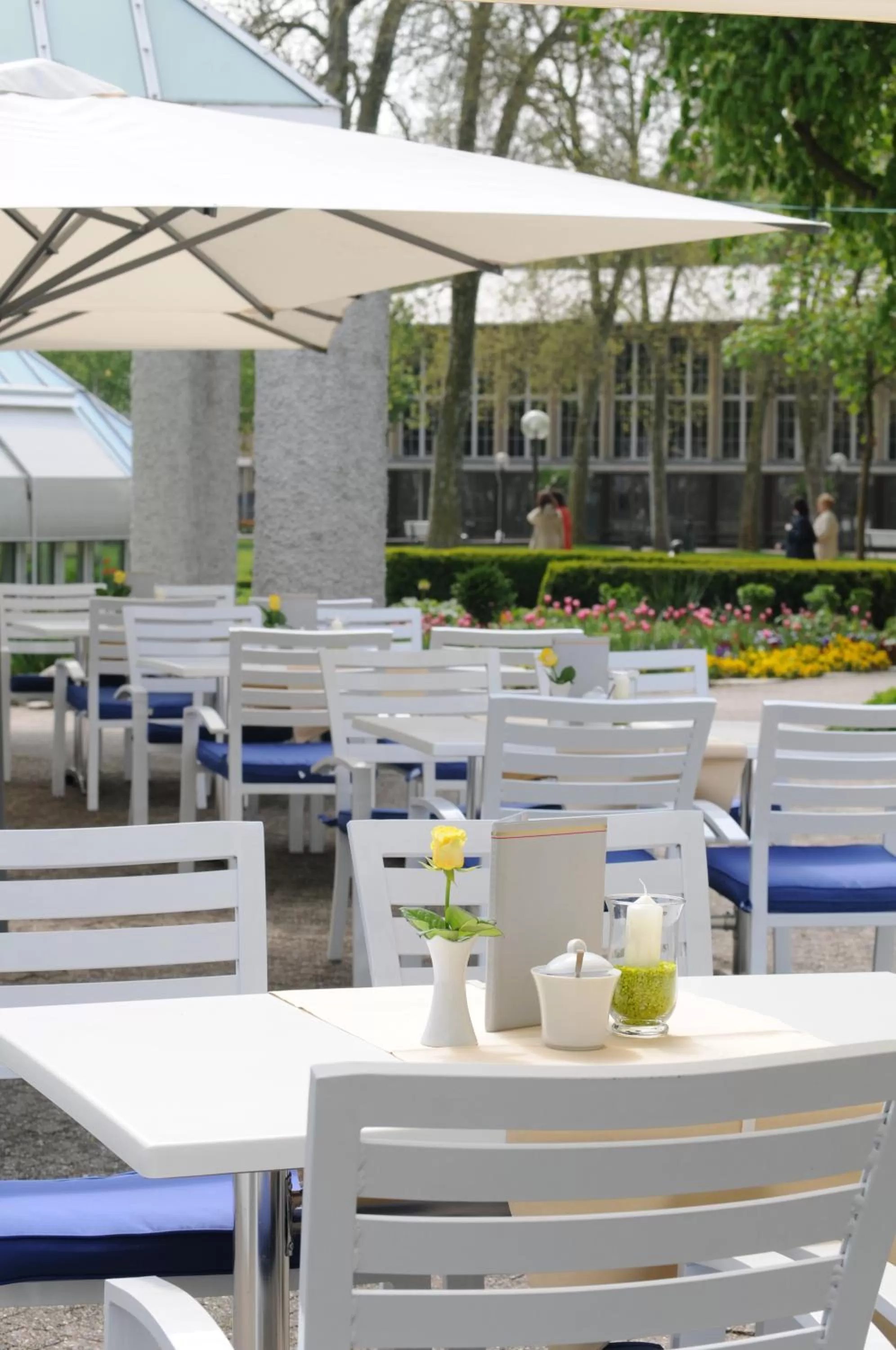 Restaurant/places to eat in Best Western Premier Parkhotel Bad Mergentheim