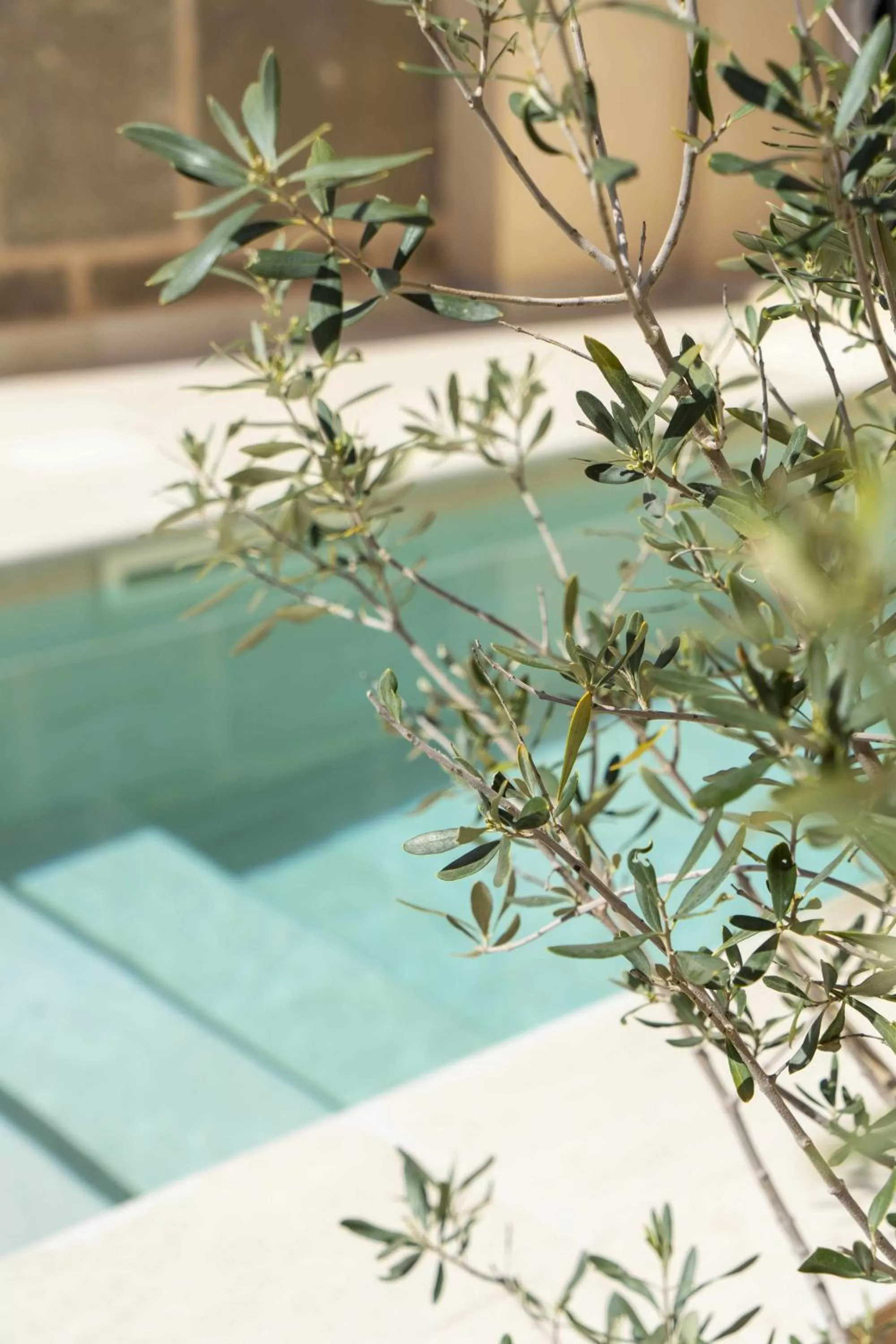 Day, Swimming Pool in Atrium Suites Mallorca