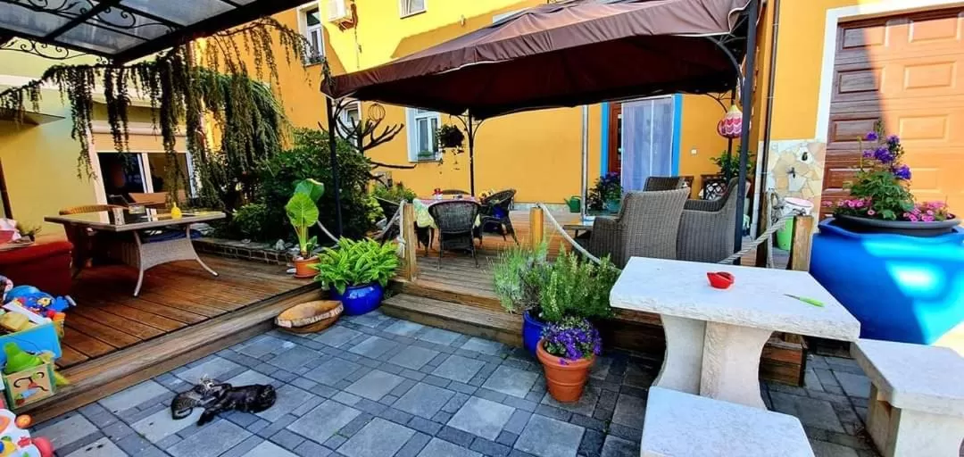 Garden in Hostel Sonce