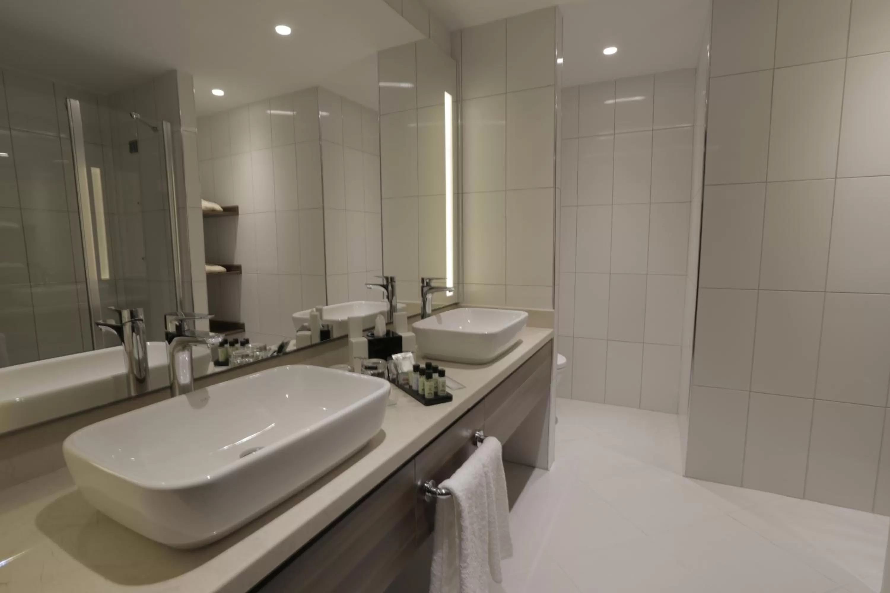 Other in Tuyap Palas