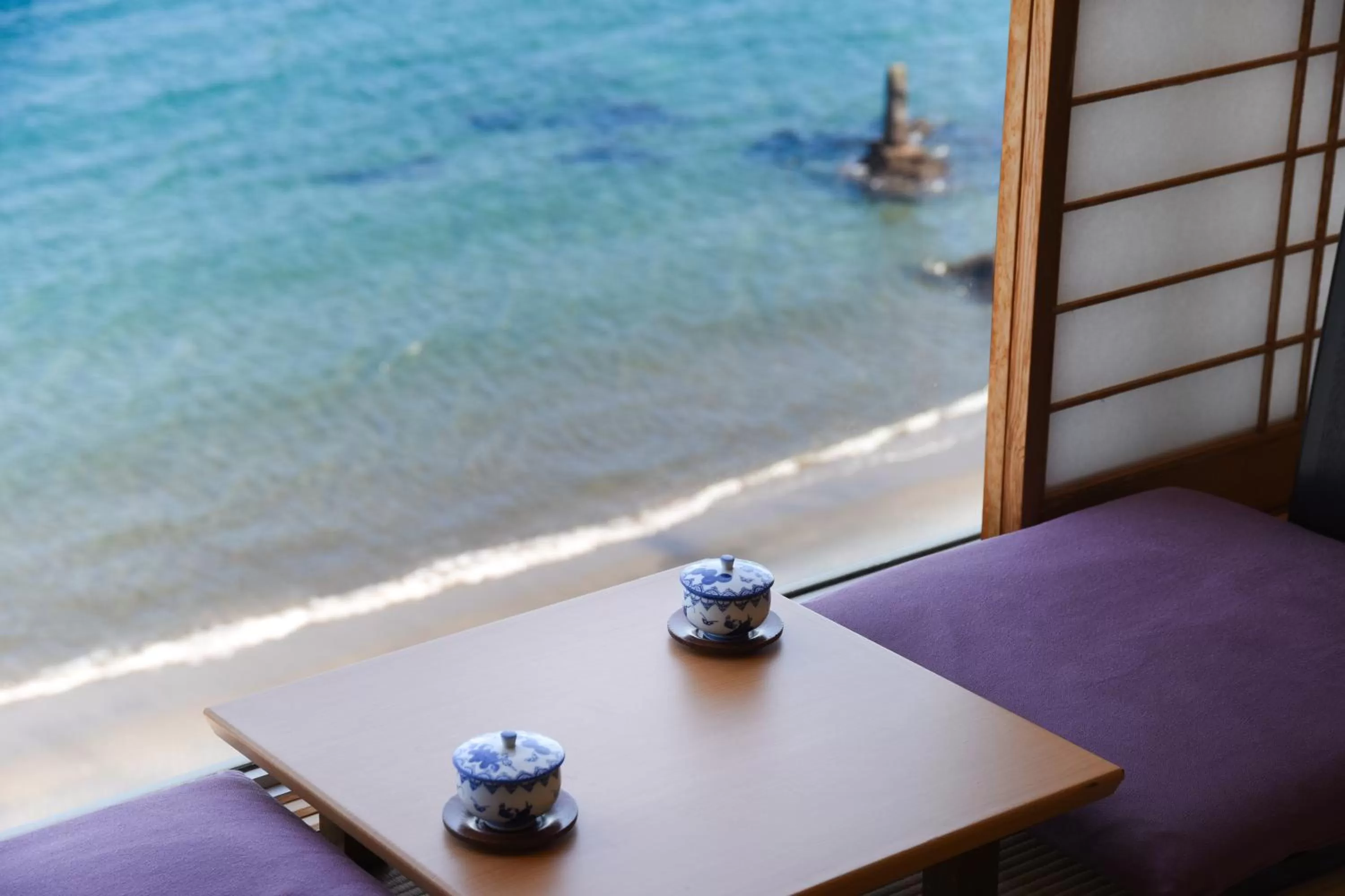 Sea view in Ibusuki Kaijo Hotel