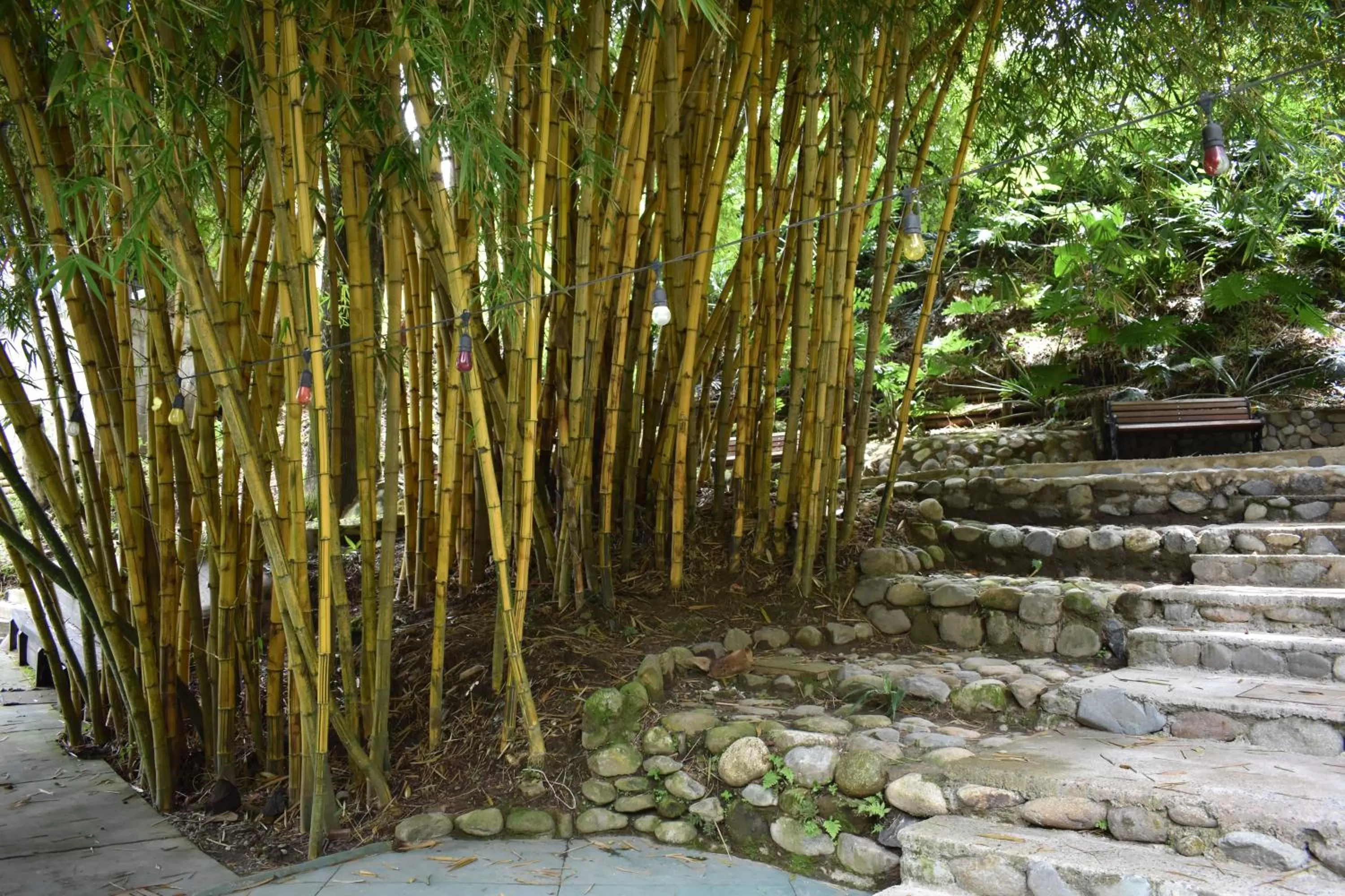 Property building, Garden in Hotel Bambu Inn