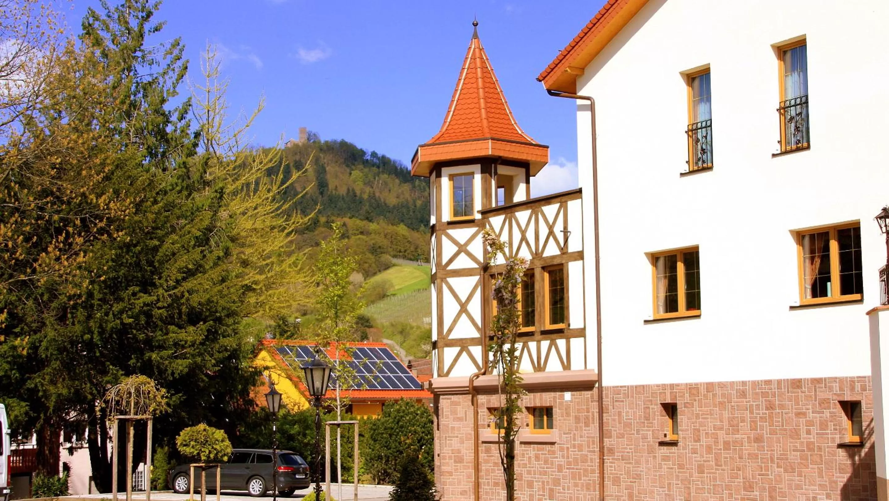 Mountain view in Hotel Rebstock