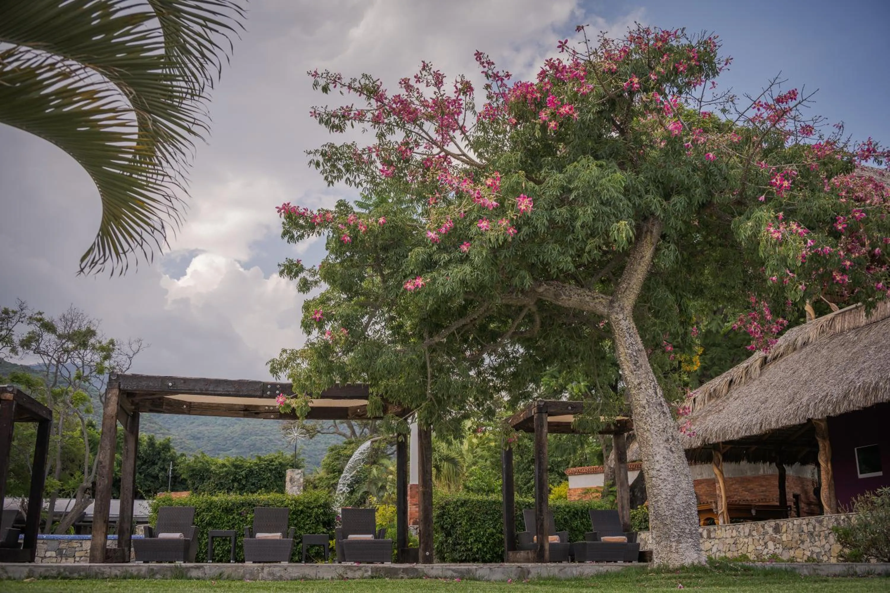 Garden in Nimue Marina Residence