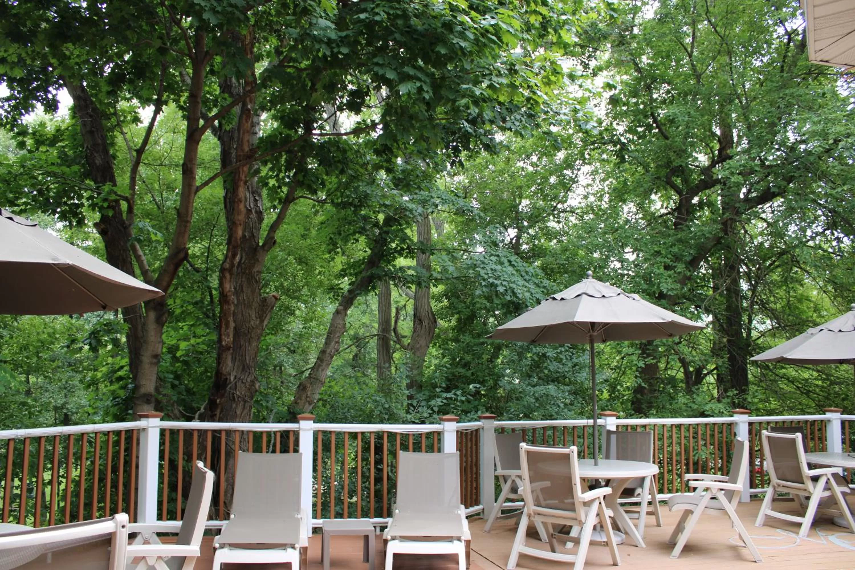 Patio in Mill Creek Hotel