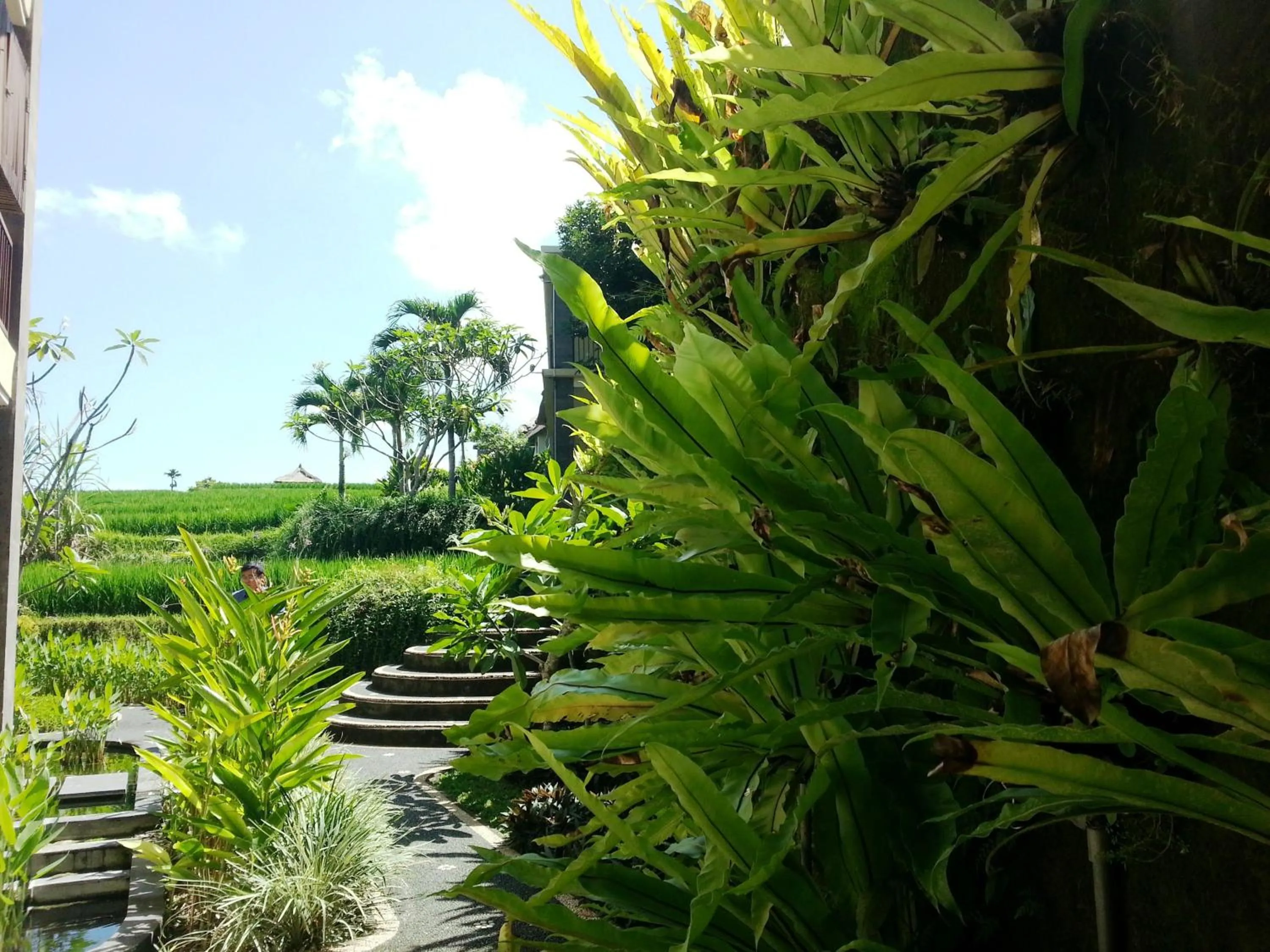 View (from property/room) in Biyukukung Suite & Spa