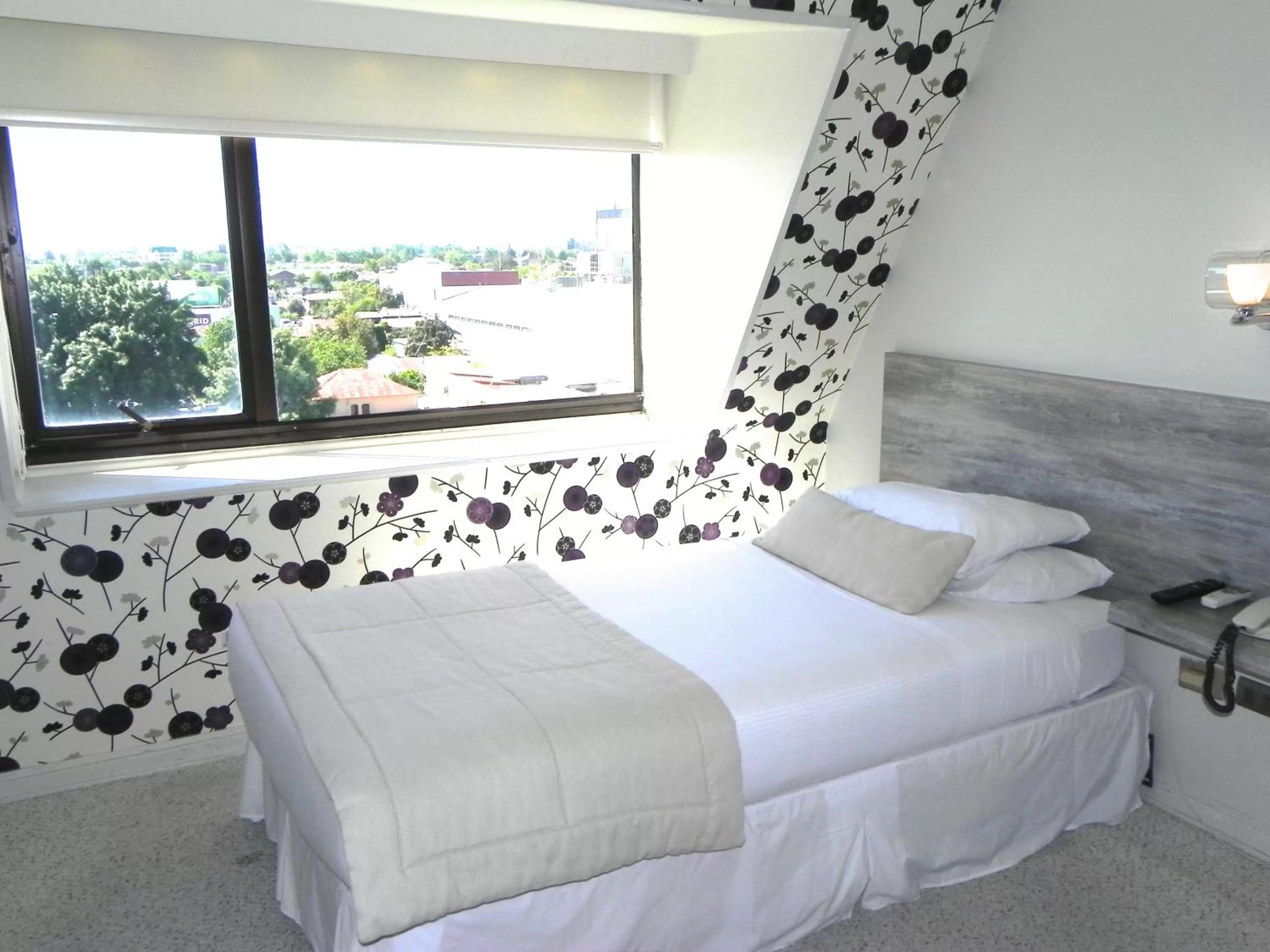 Photo of the whole room, Bed in Hotel Las Terrazas Business