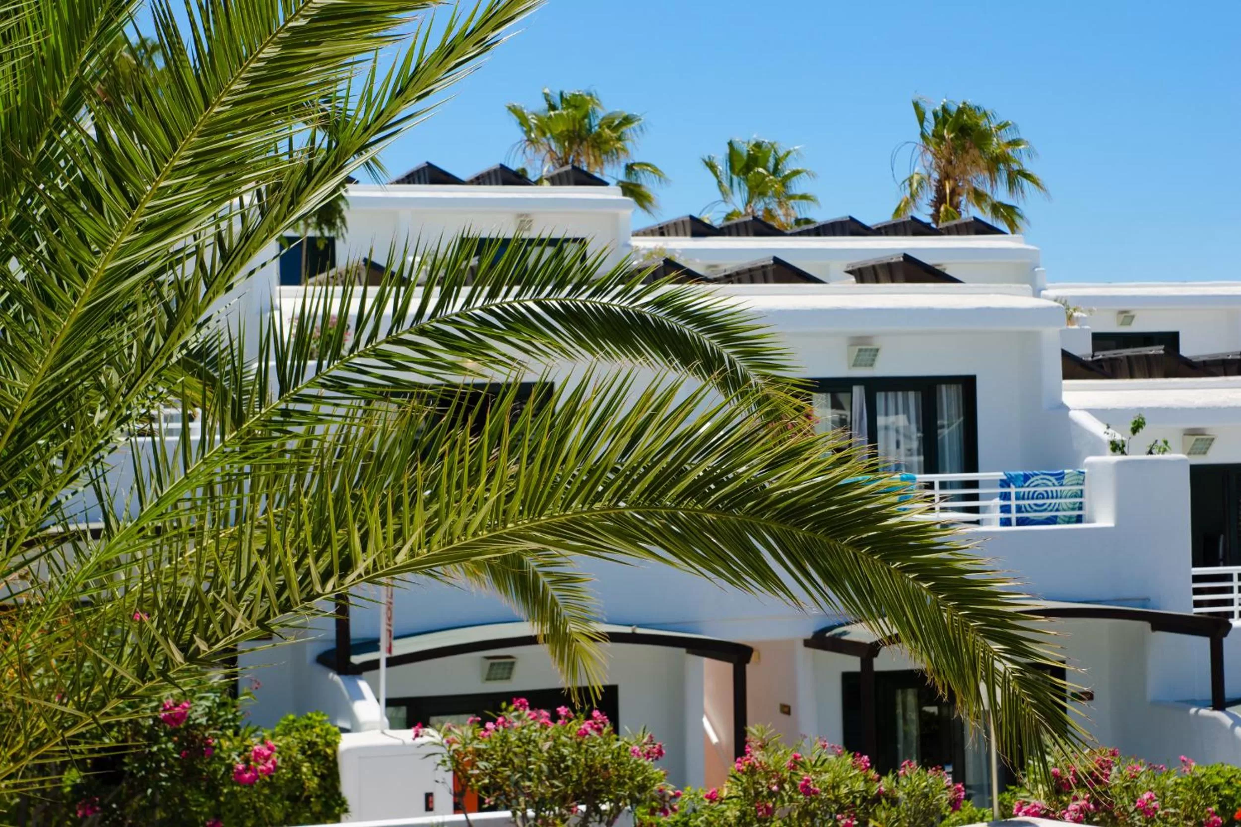 Property building in Relaxia Lanzaplaya