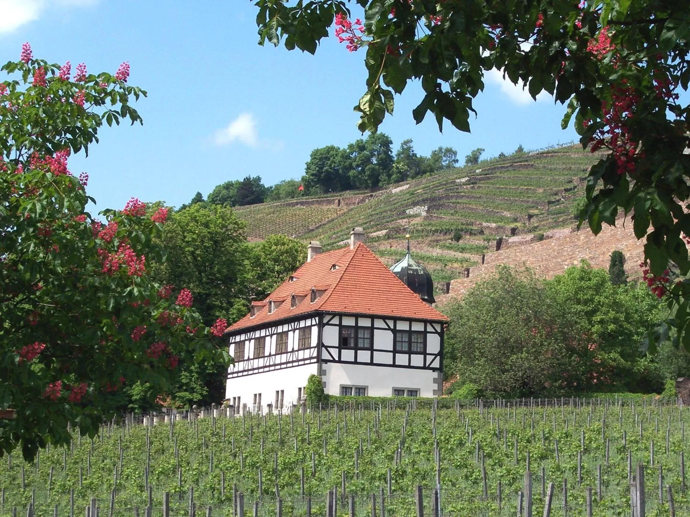 Nearby landmark in Radisson Blu Park Hotel & Conference Centre