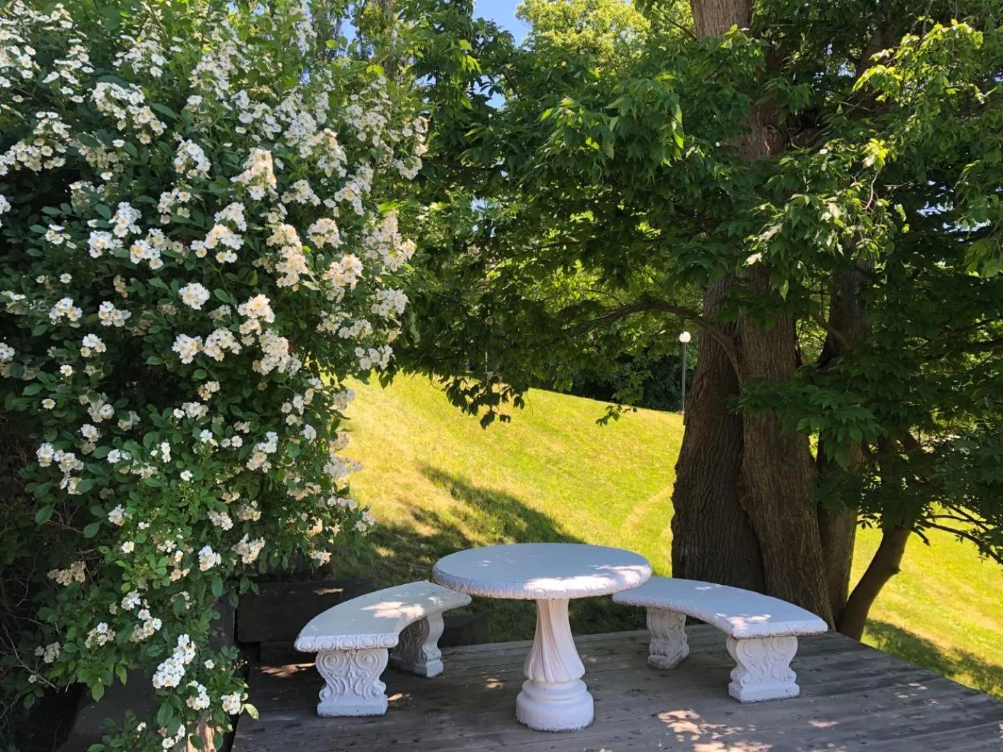 Garden view in Braeside Country Inn