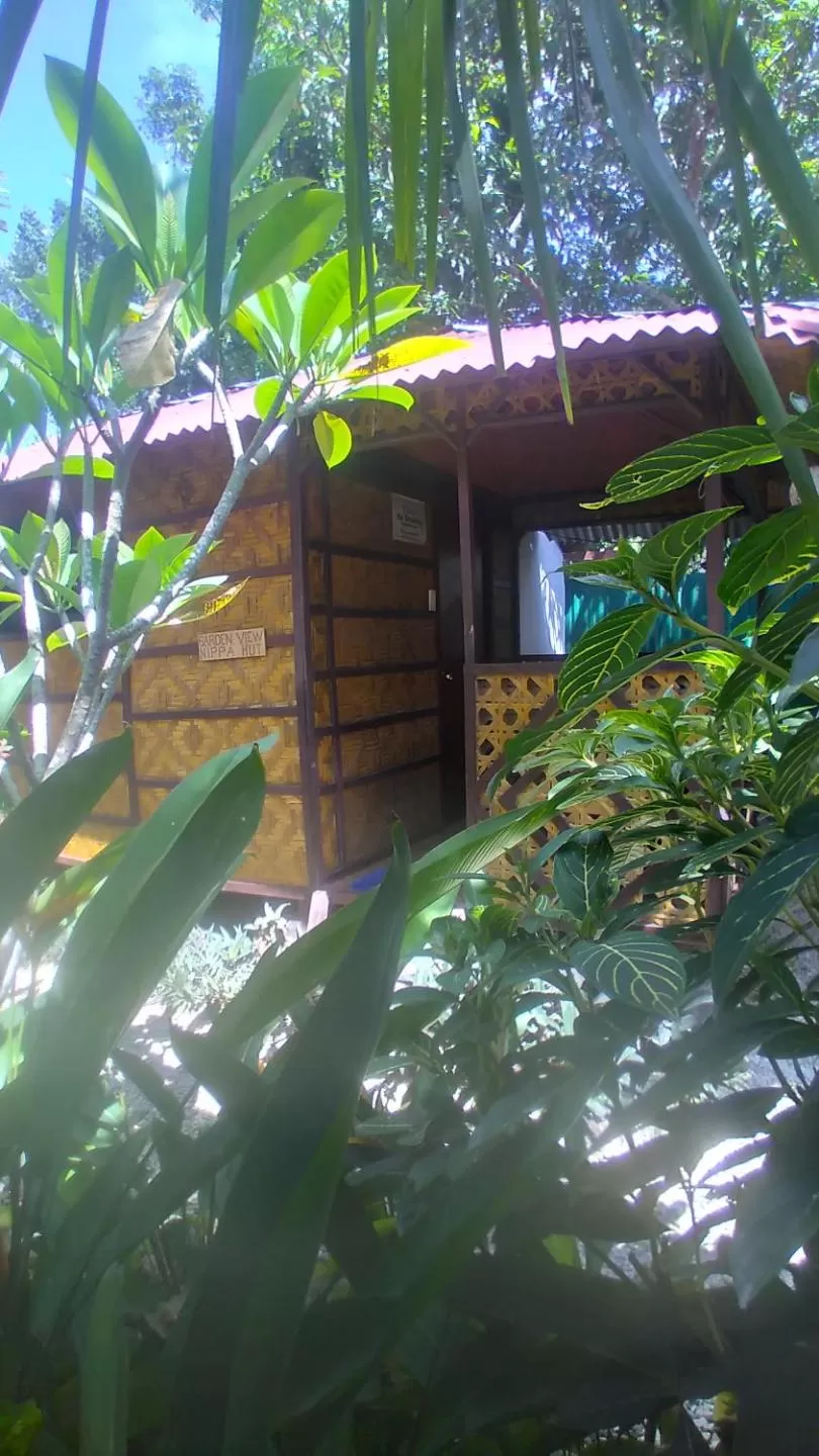 Adriana's Place Tropical Guesthouse