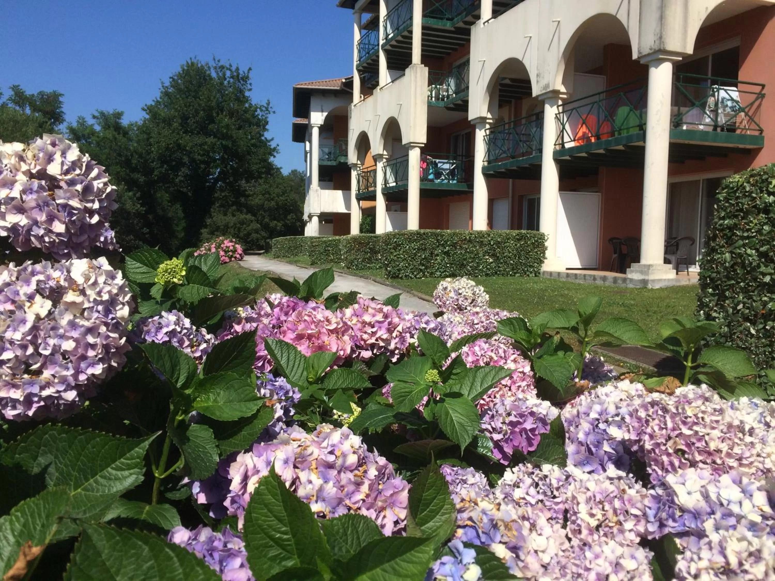 Patio in Résidence Mer & Golf Soko-Eder