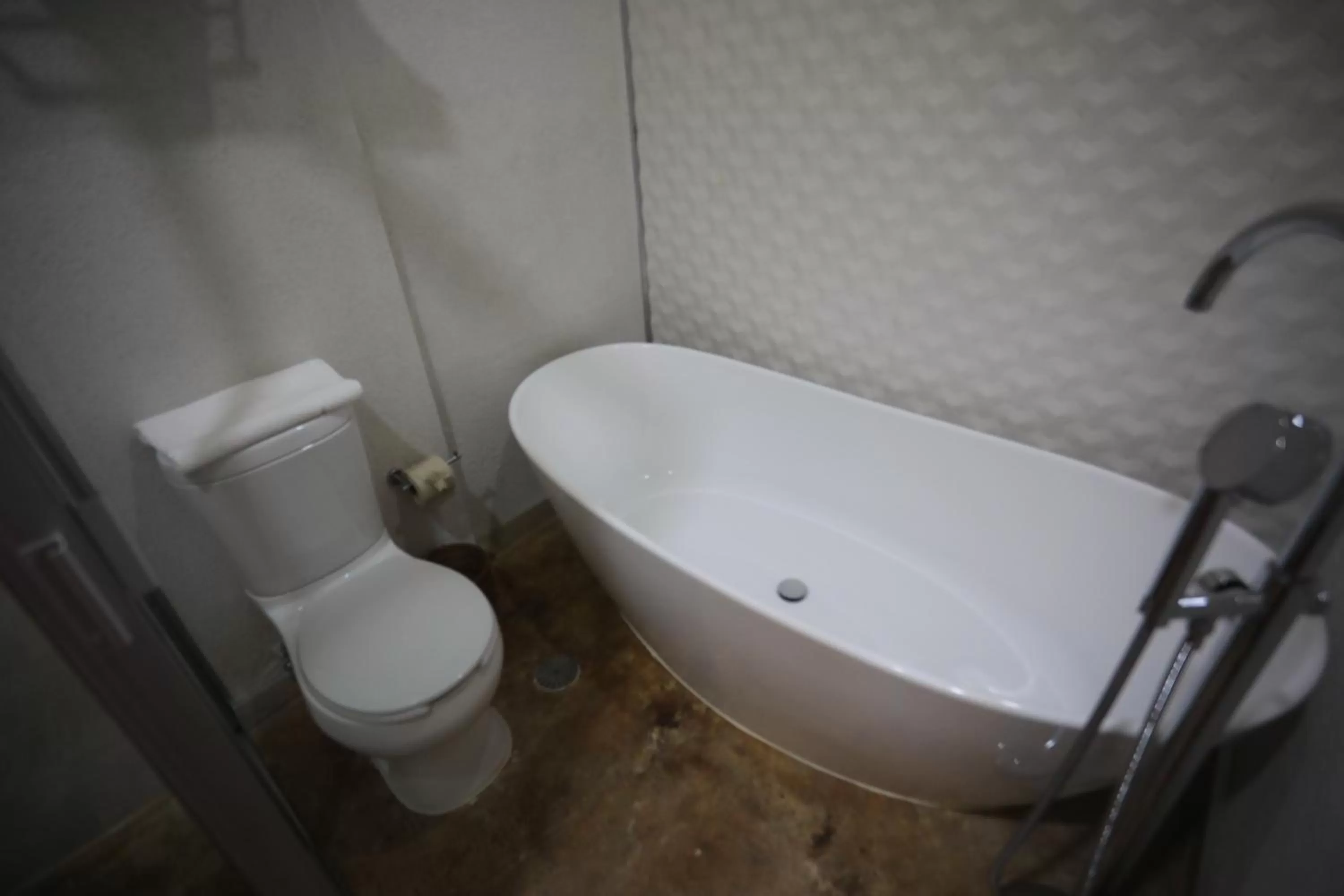 Bathroom in La Dorada Town view