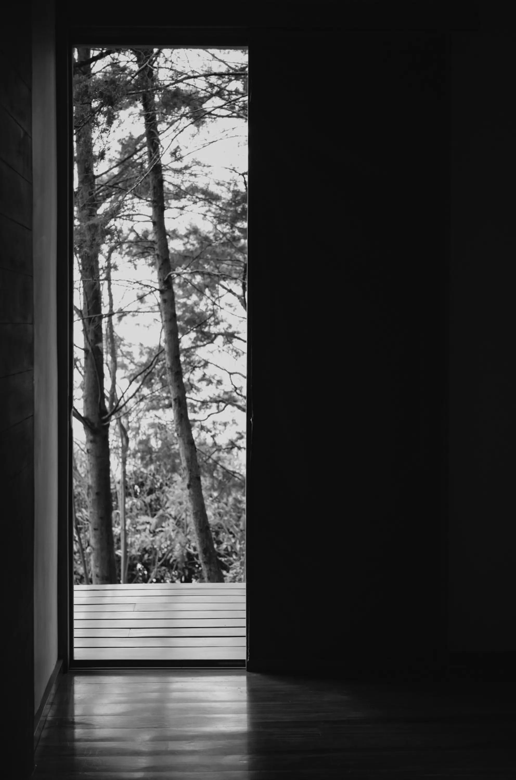 Natural landscape in Anzan Atitlan