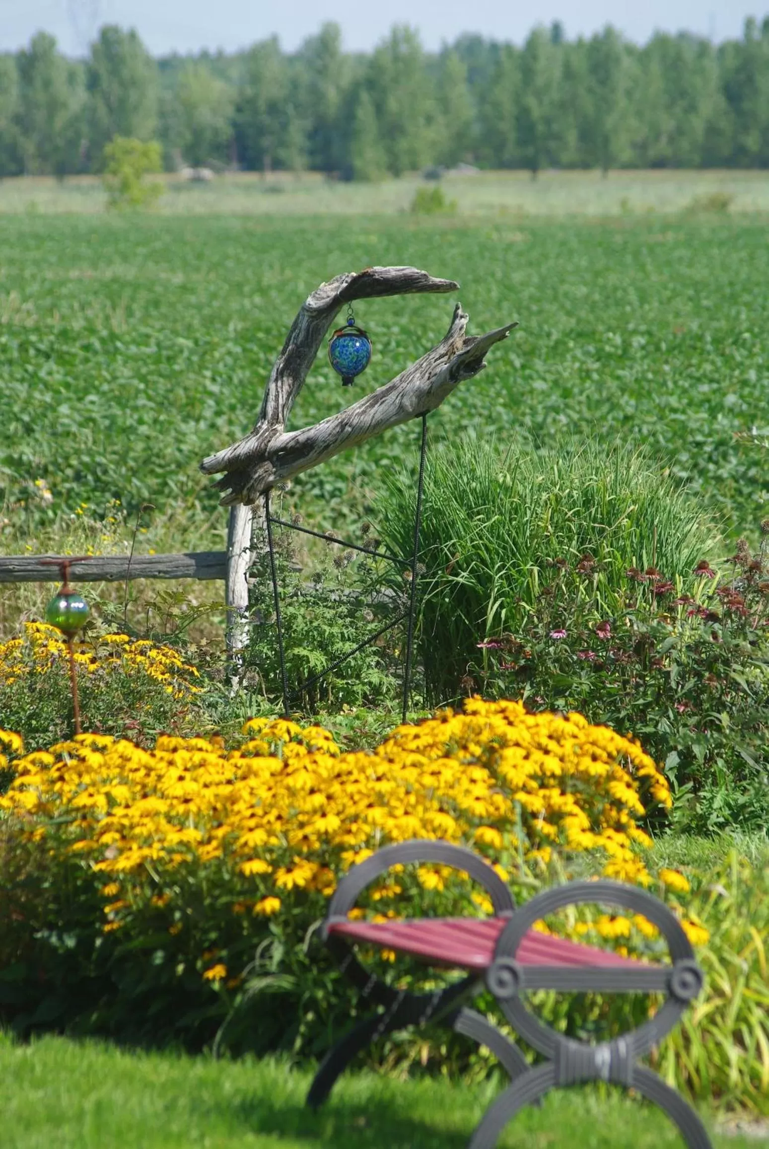 Garden in Atelier Galerie Anne Drouin Peinture & Pension
