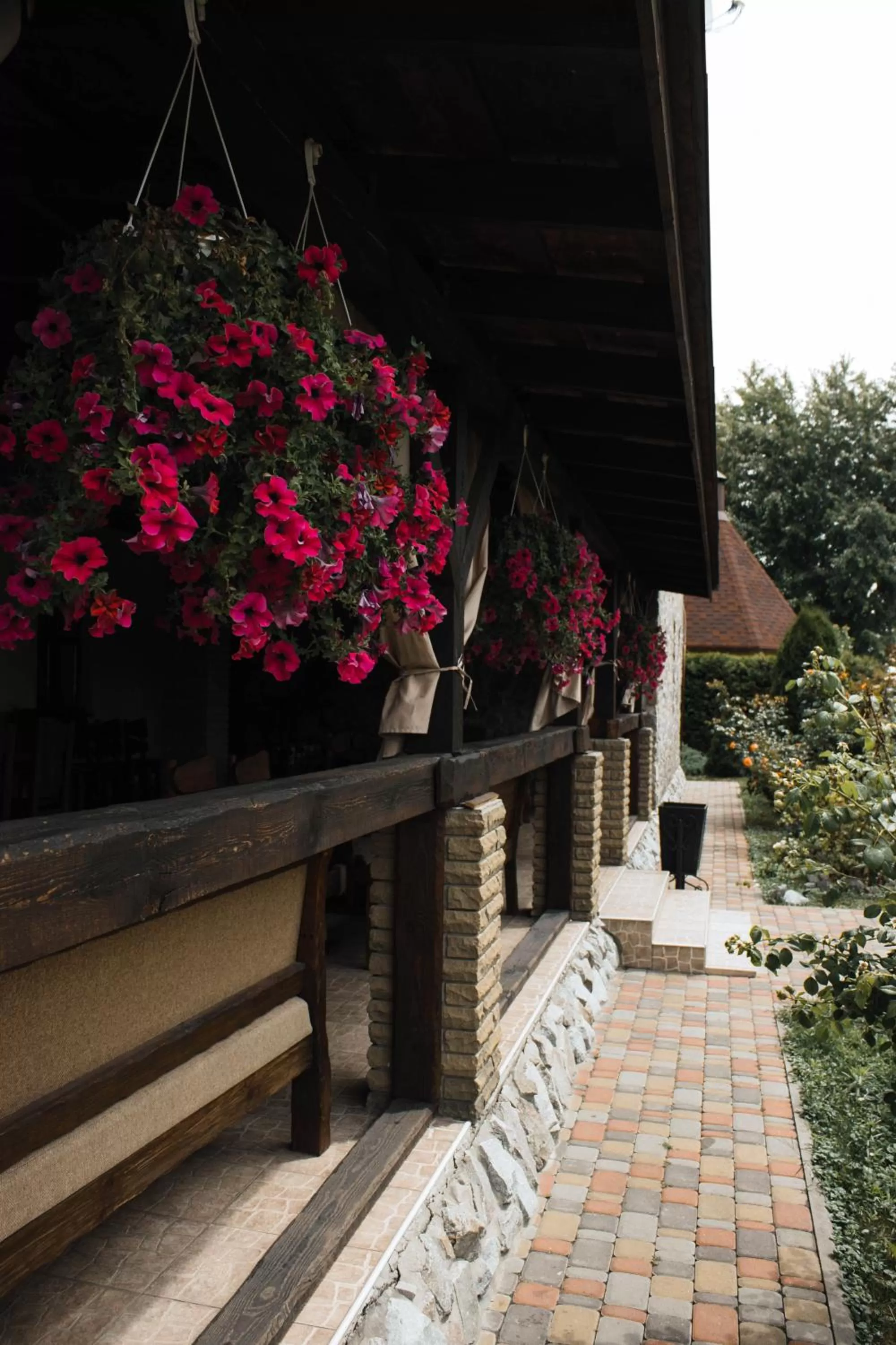 Area and facilities in Stara Vezha Hotel