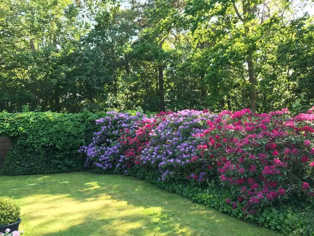 Garden in Trouville Bed & Breakfast