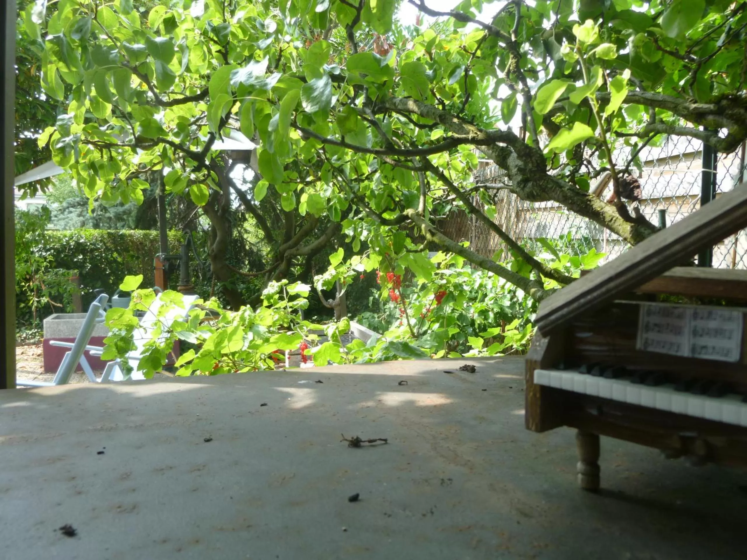 Garden in La Malle - la suite