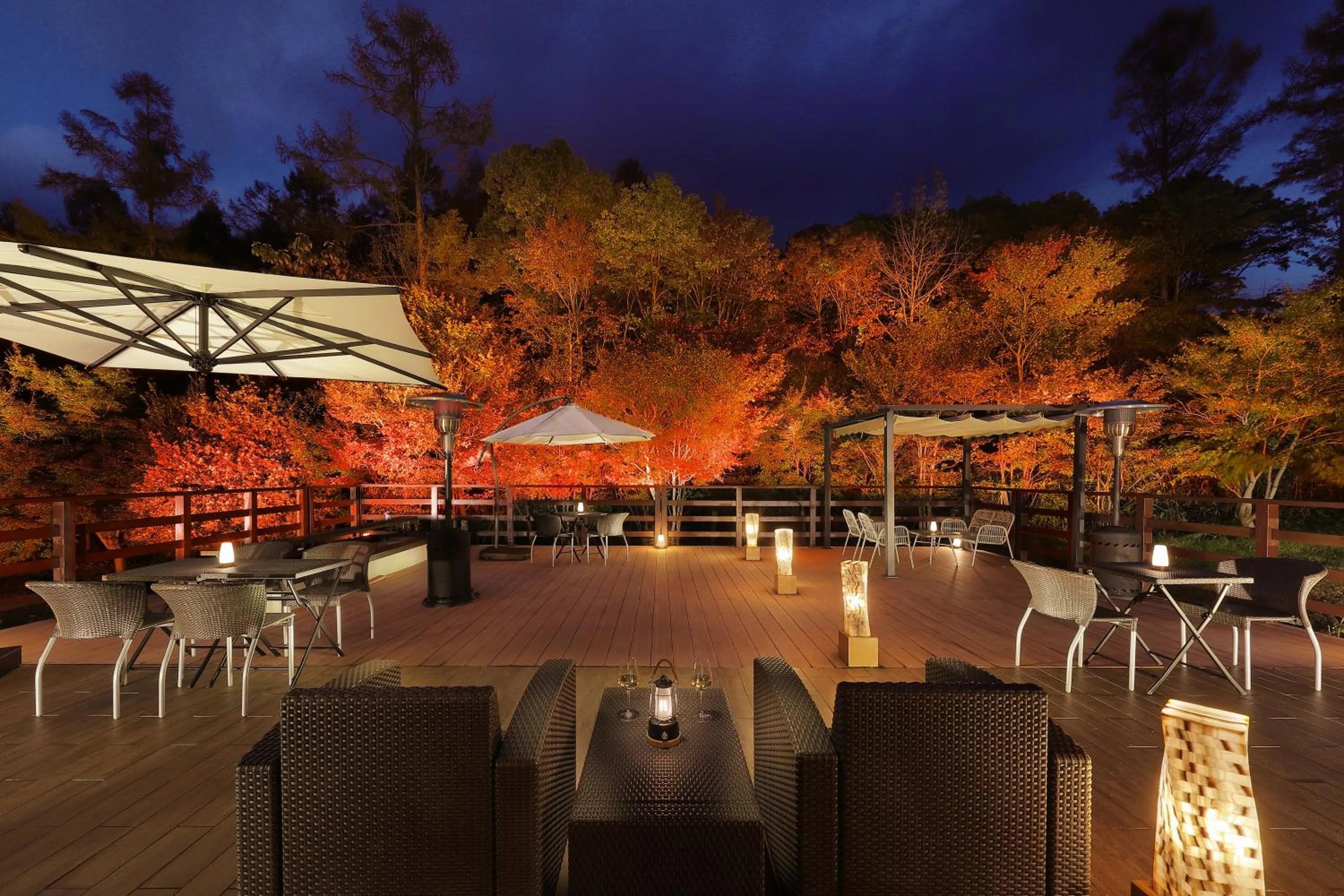 Balcony/Terrace in Hotel Ryu Resort and Spa