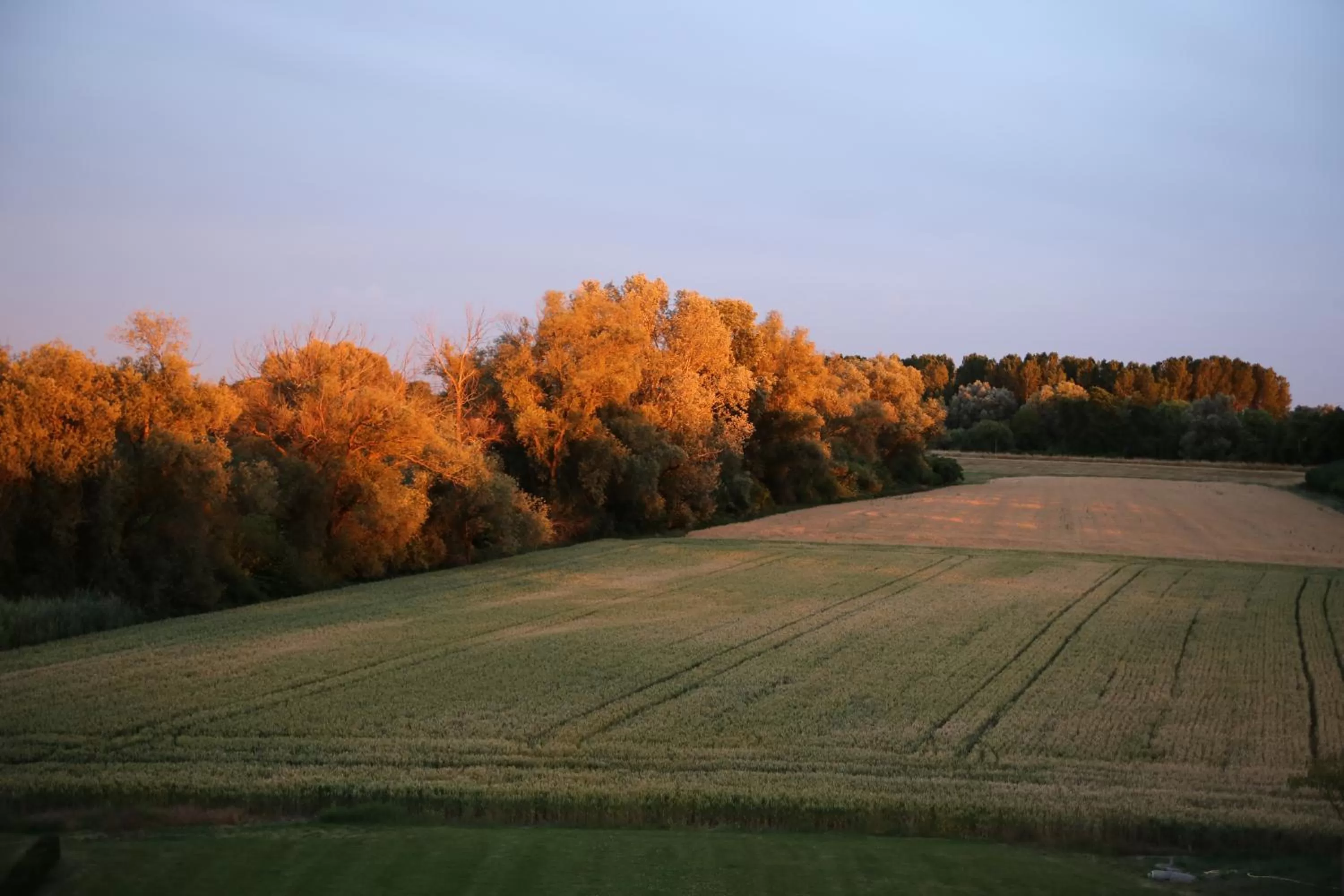 Garden view in SeeHotel Ketsch