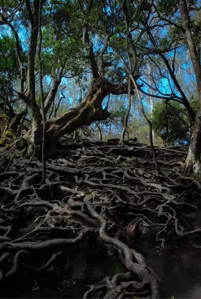Hiking in Cloud Walk