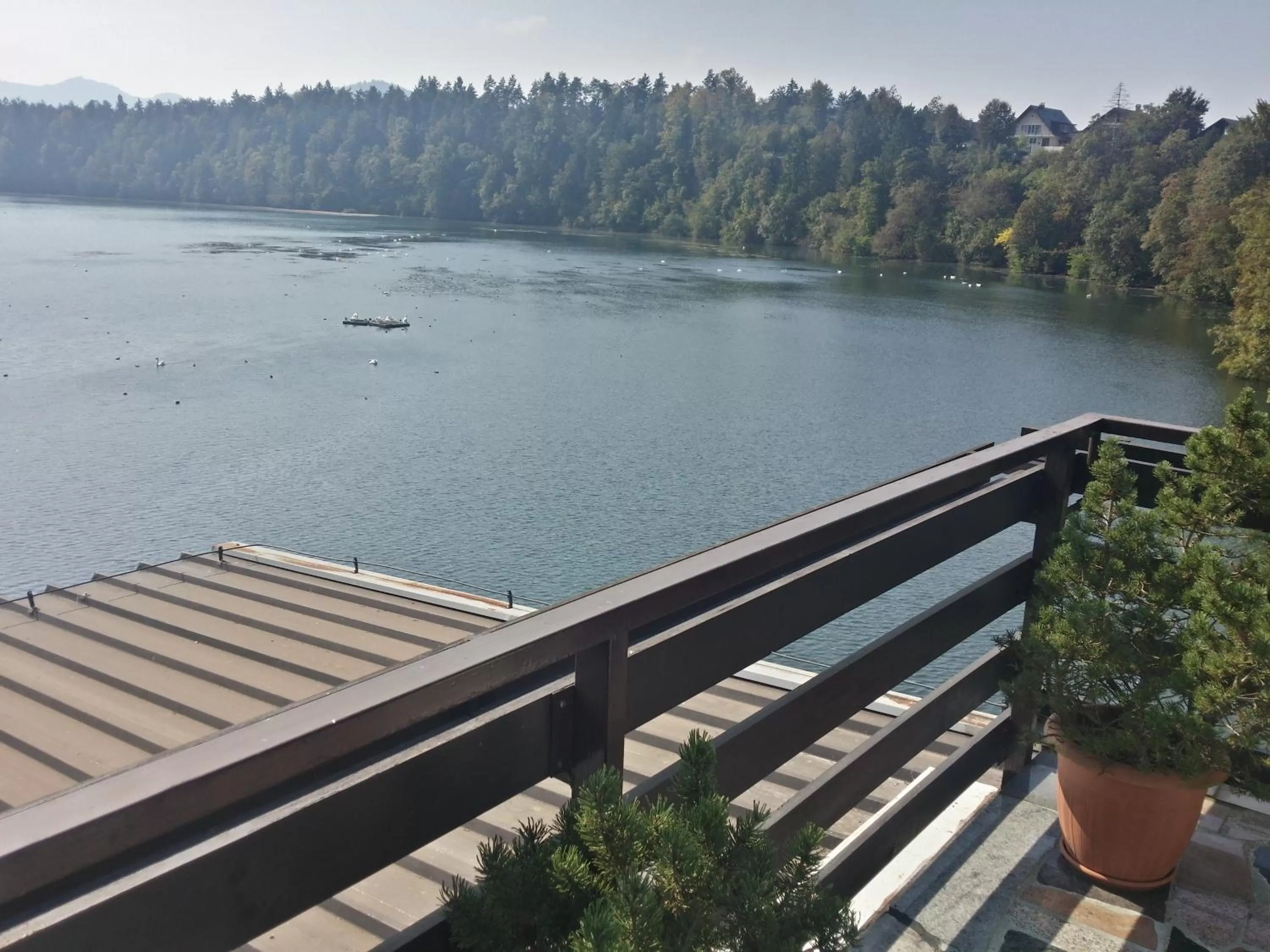 Balcony/Terrace in Gostisce Jezero
