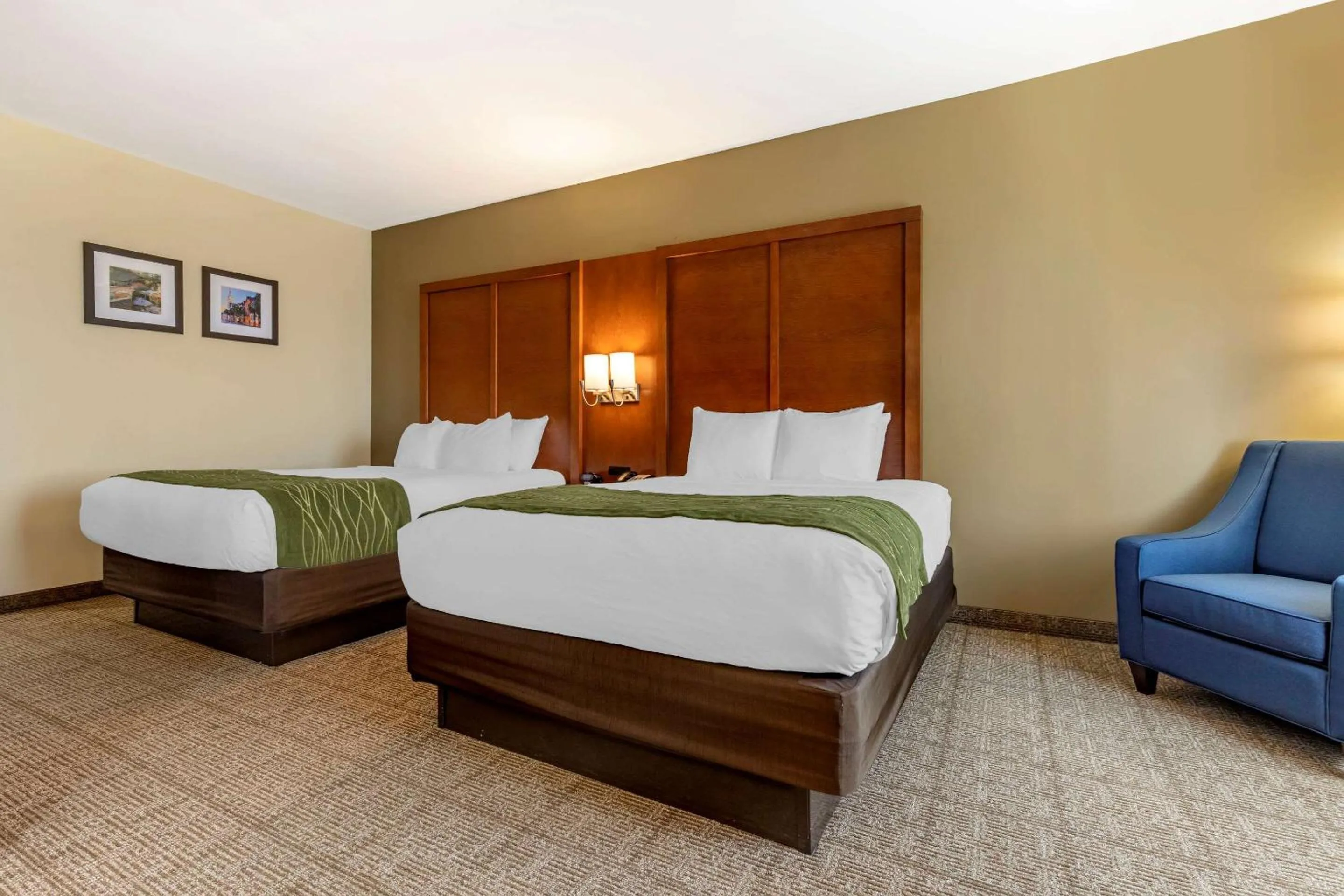 Photo of the whole room, Bed in Comfort Inn & Suites Orangeburg