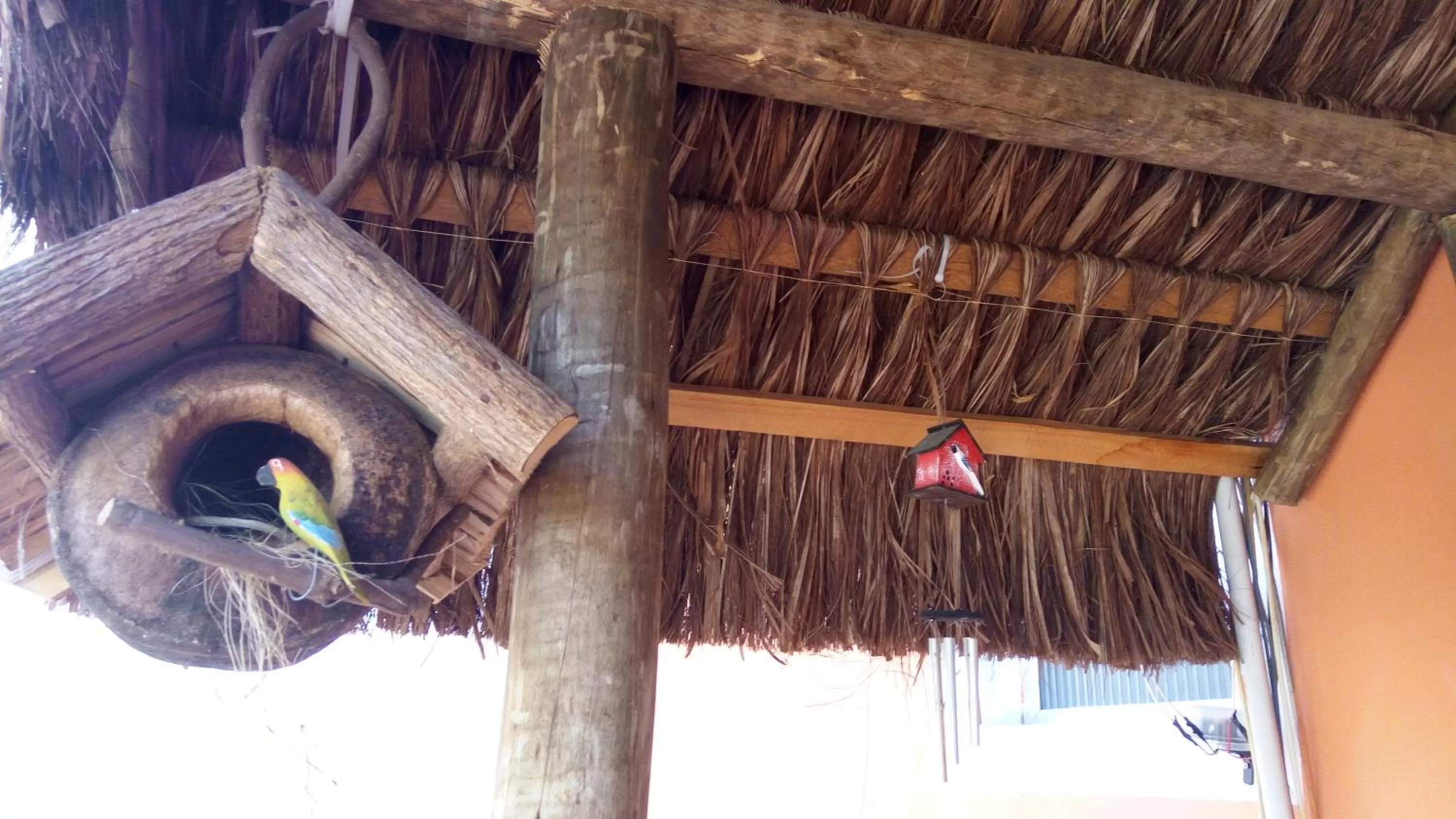 Decorative detail in Pousada Do Pancho