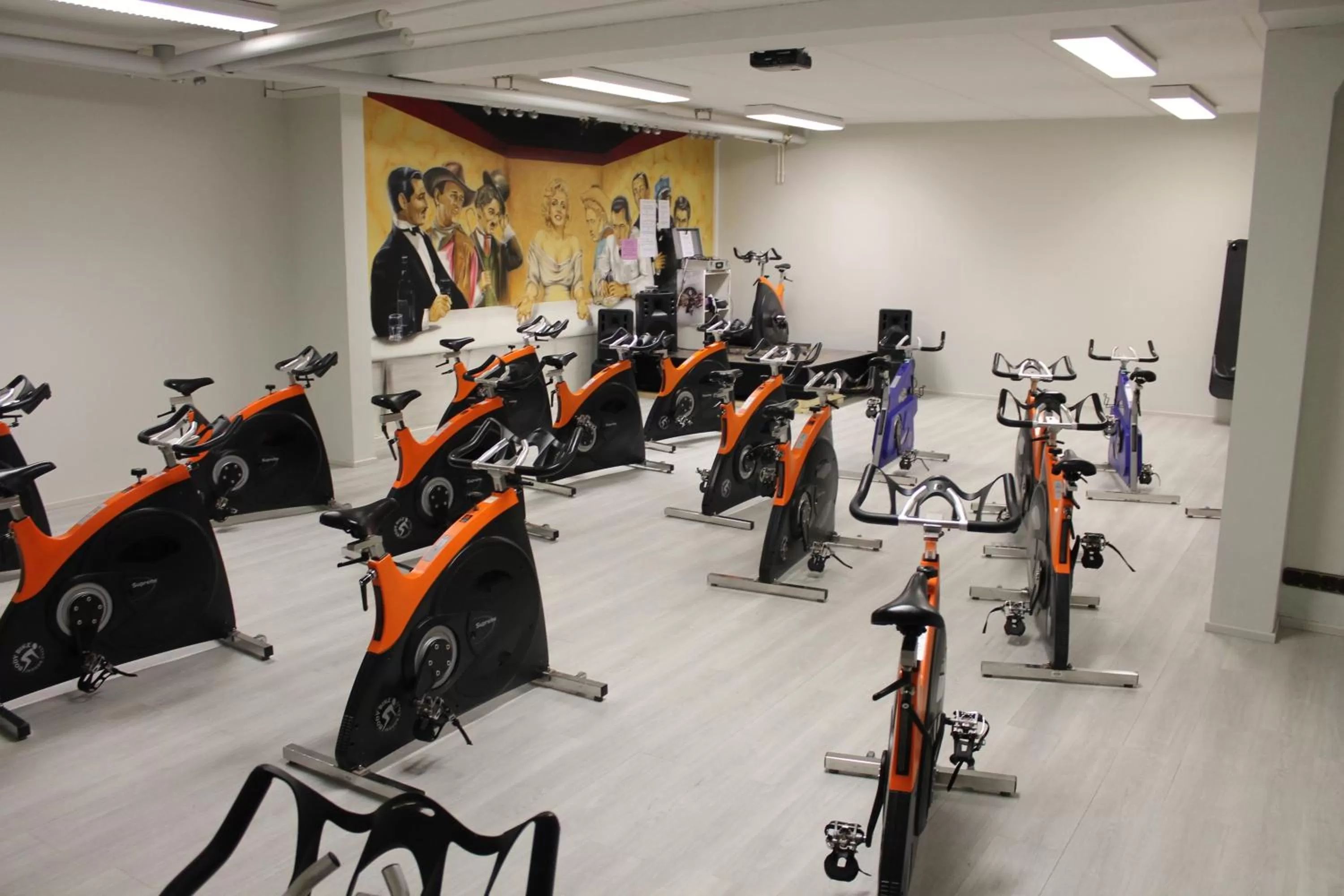 Fitness centre/facilities in Sport Hotel Kantri